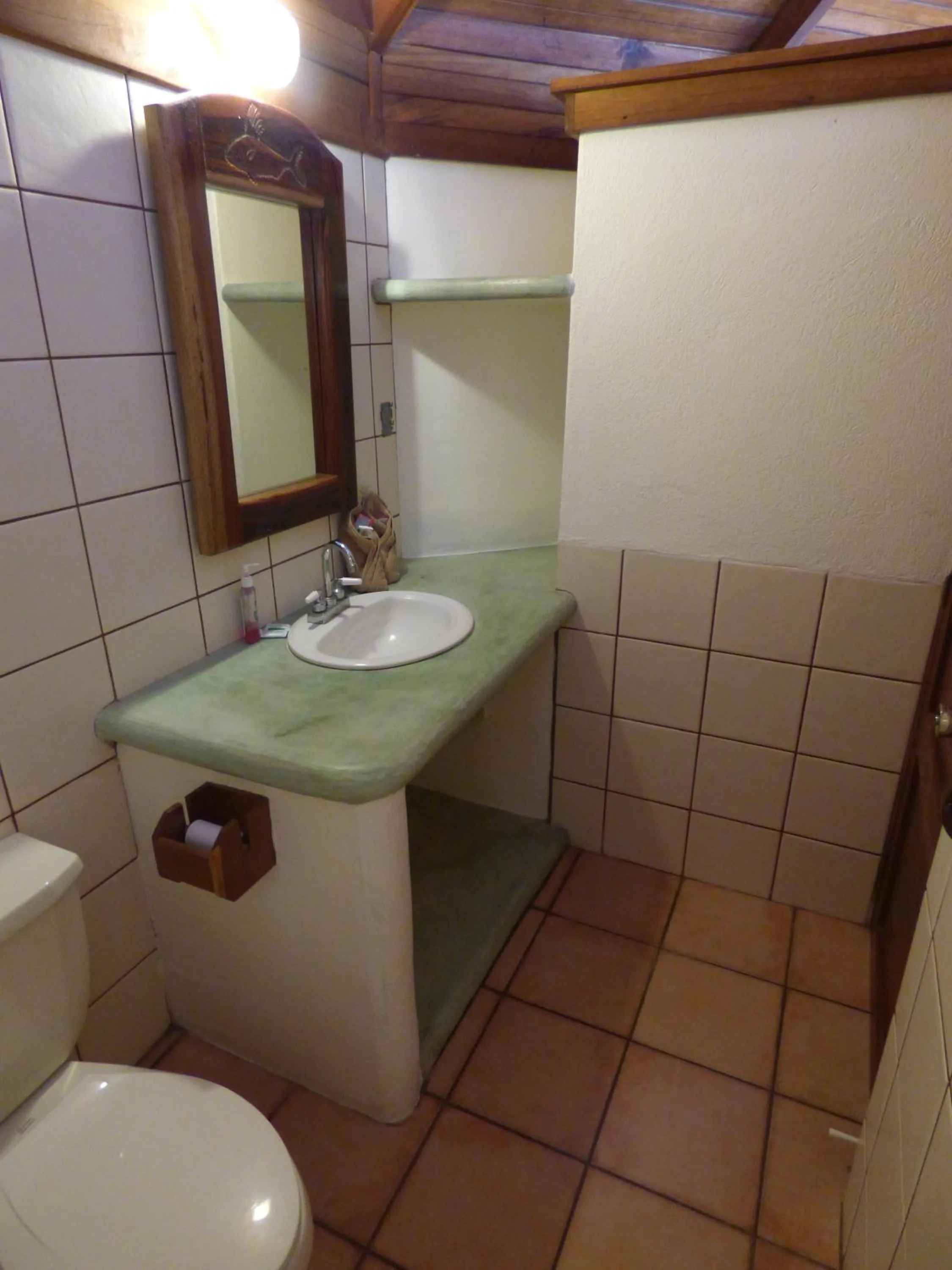 Other in Corcovado Beach Lodge