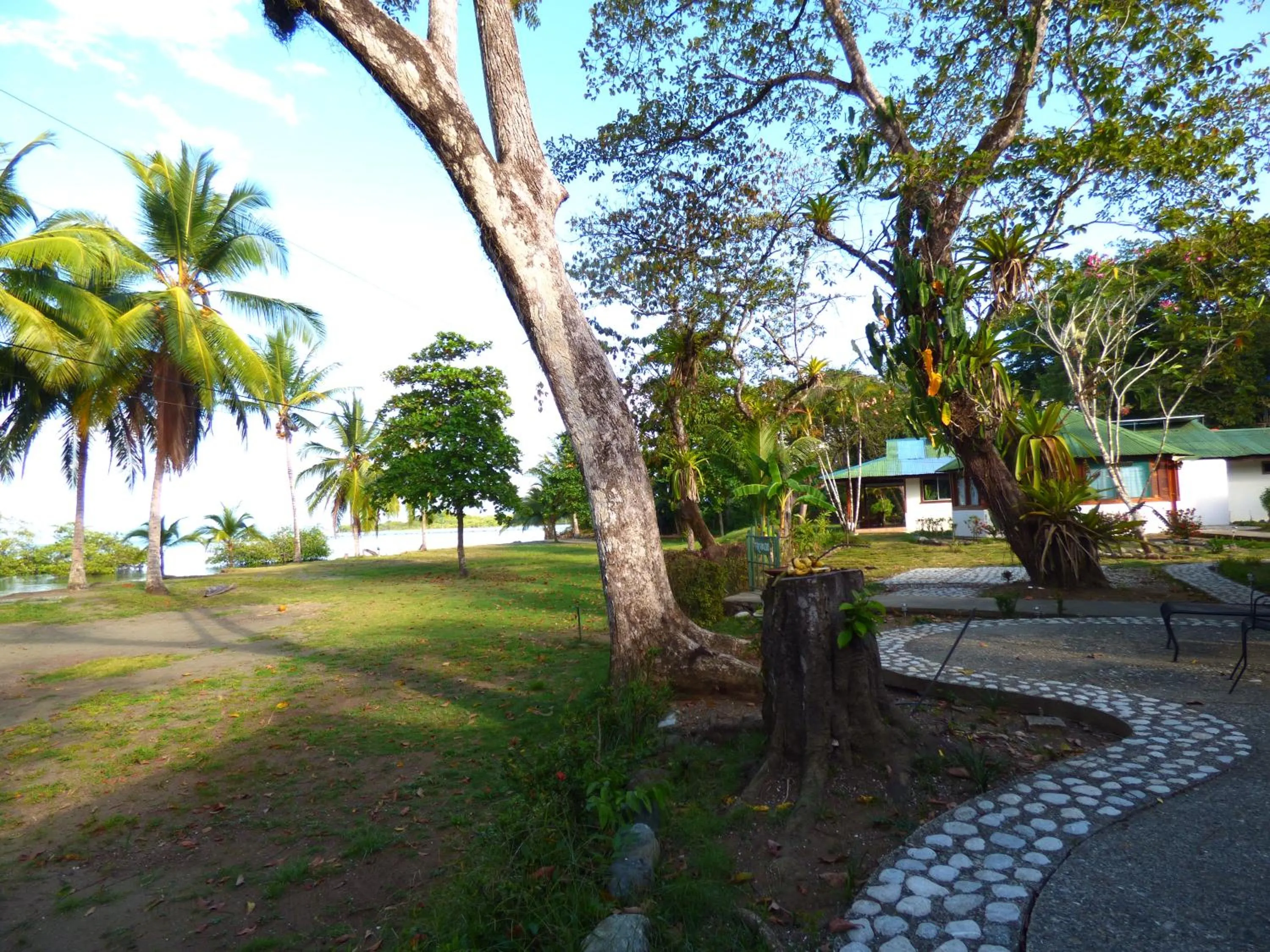 Beach in Corcovado Beach Lodge