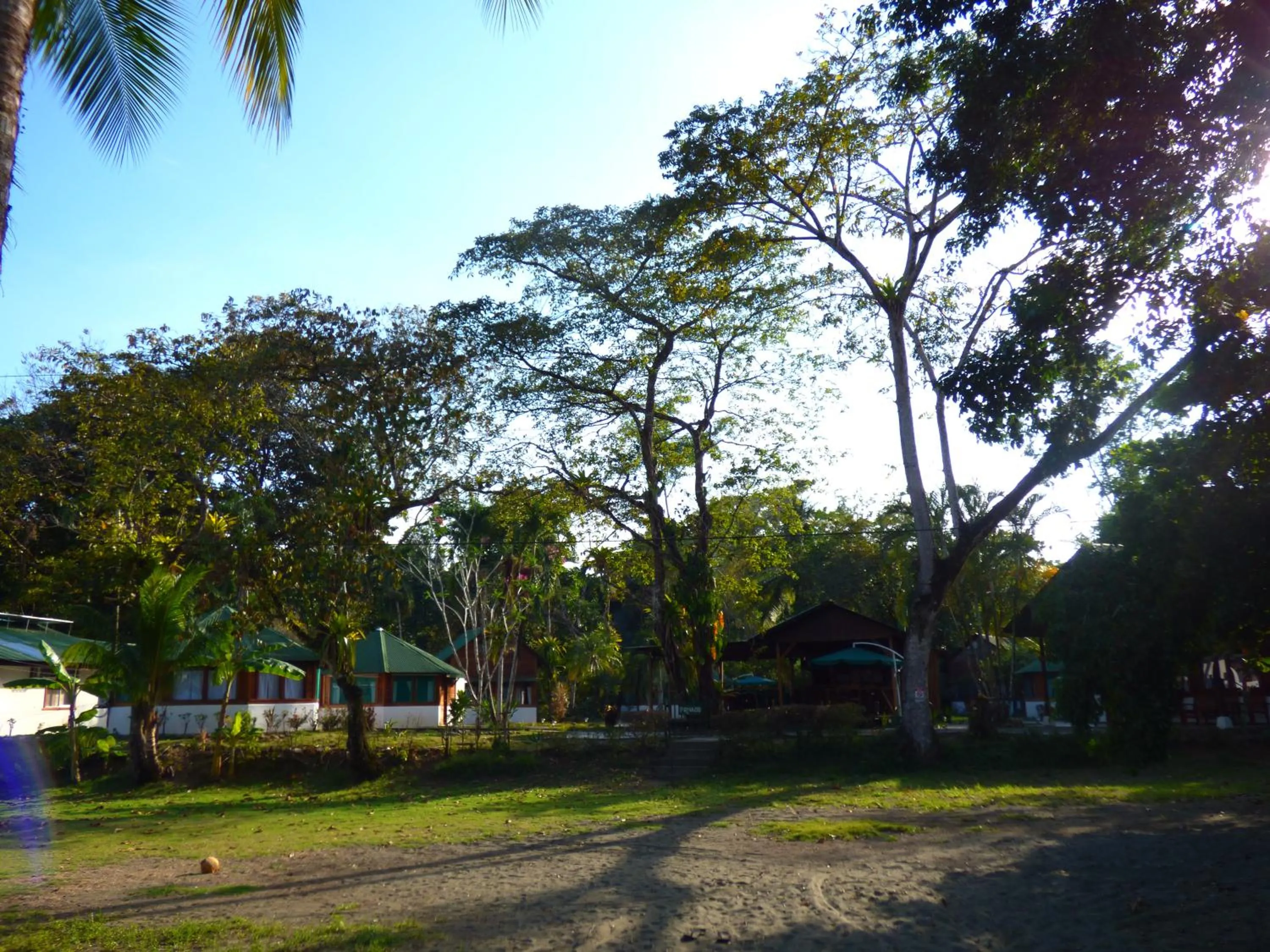 Beach in Corcovado Beach Lodge
