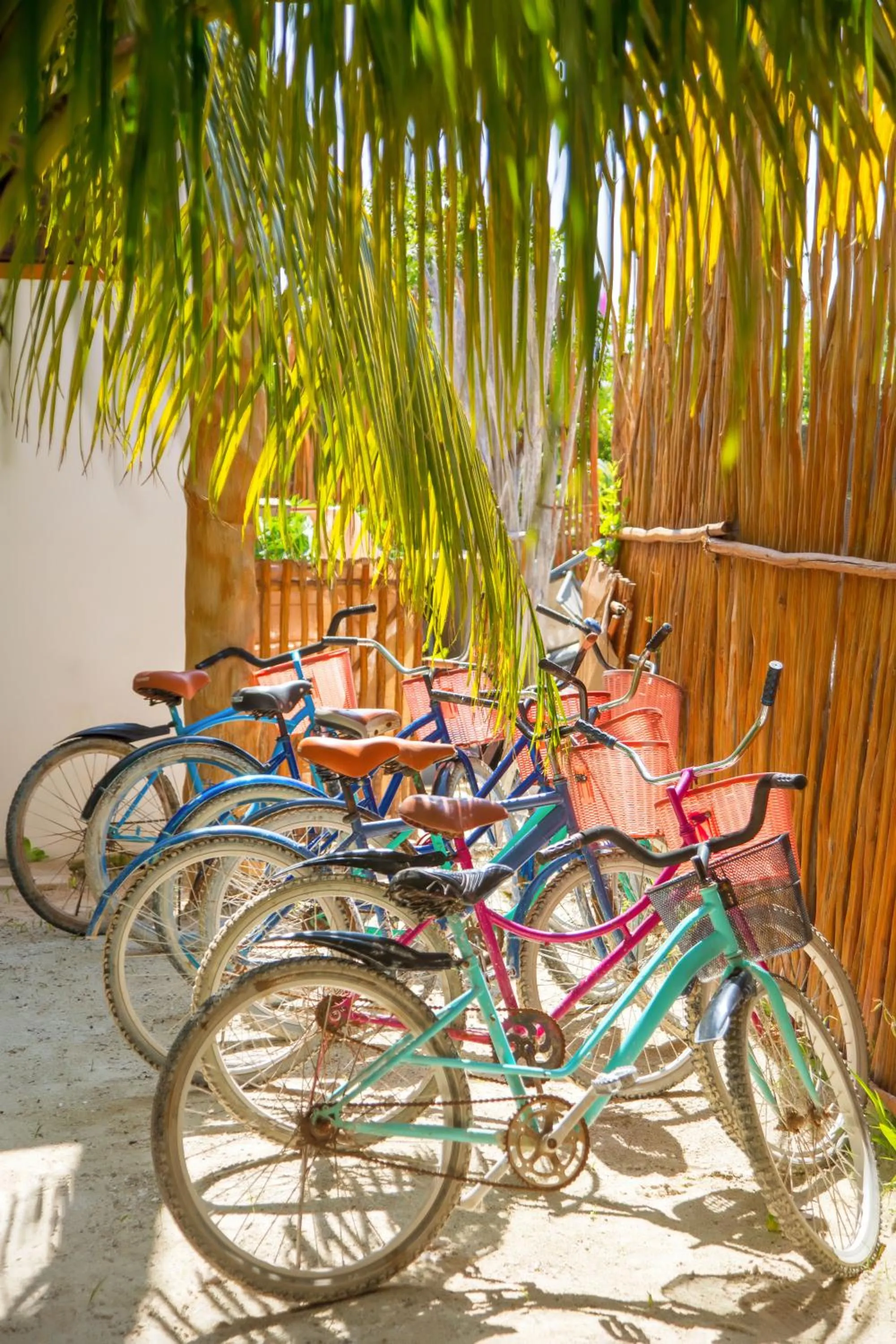 Cycling in Holbox Deluxe Apartments