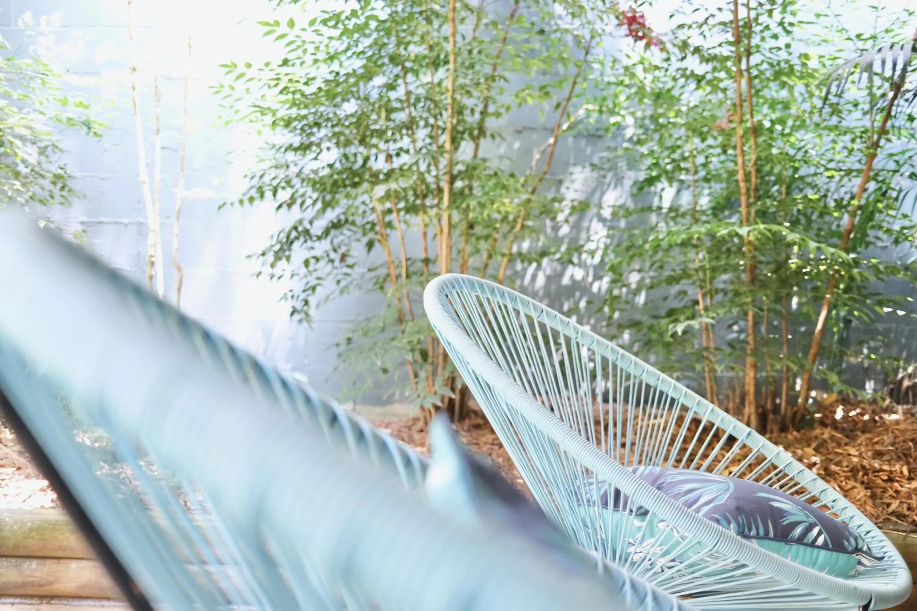 Inner courtyard view in Dalziel Lodge