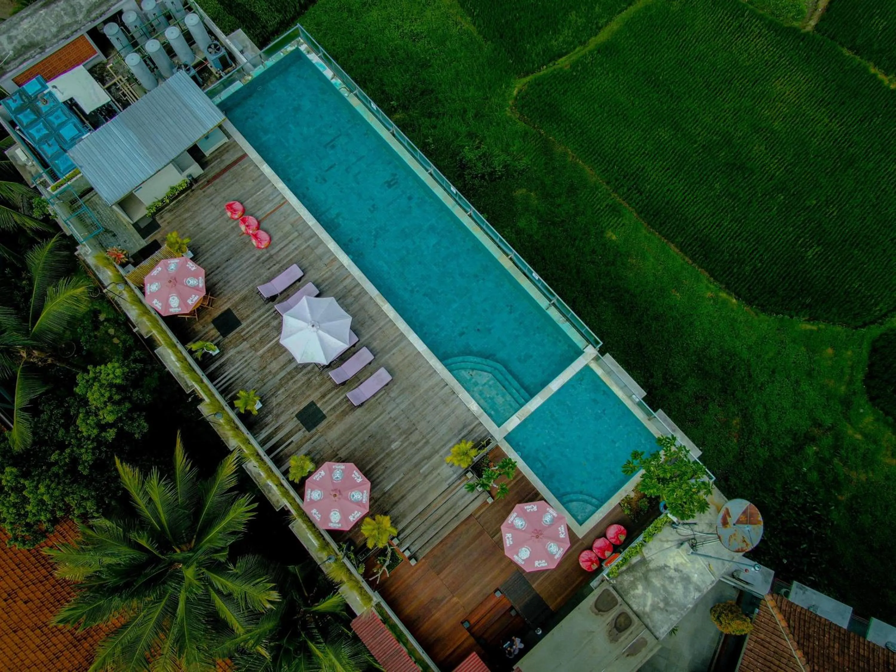 Swimming pool in The Evitel Resort Ubud