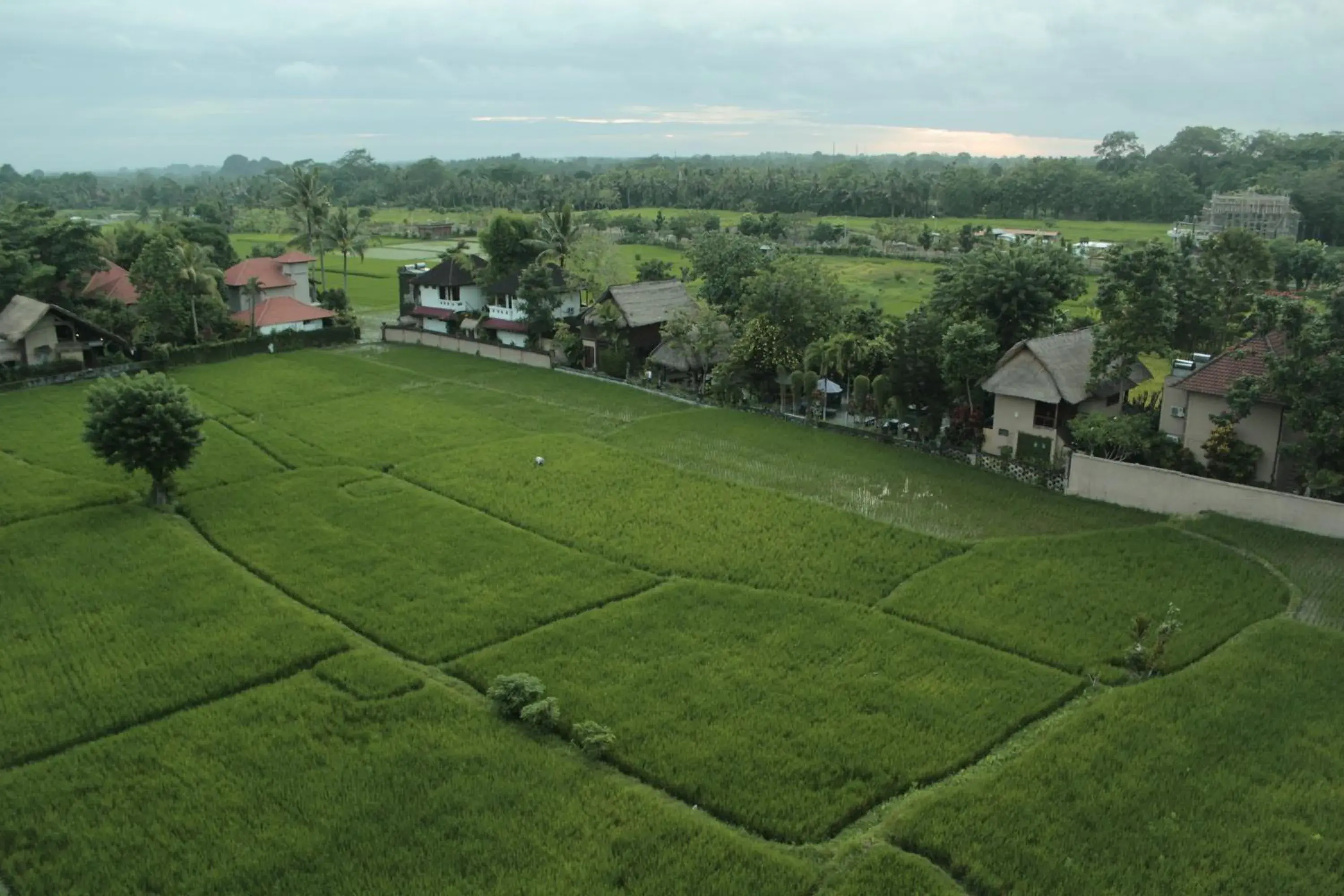 Landmark view in The Evitel Resort Ubud Landmark view in The Evitel Resort Ubud