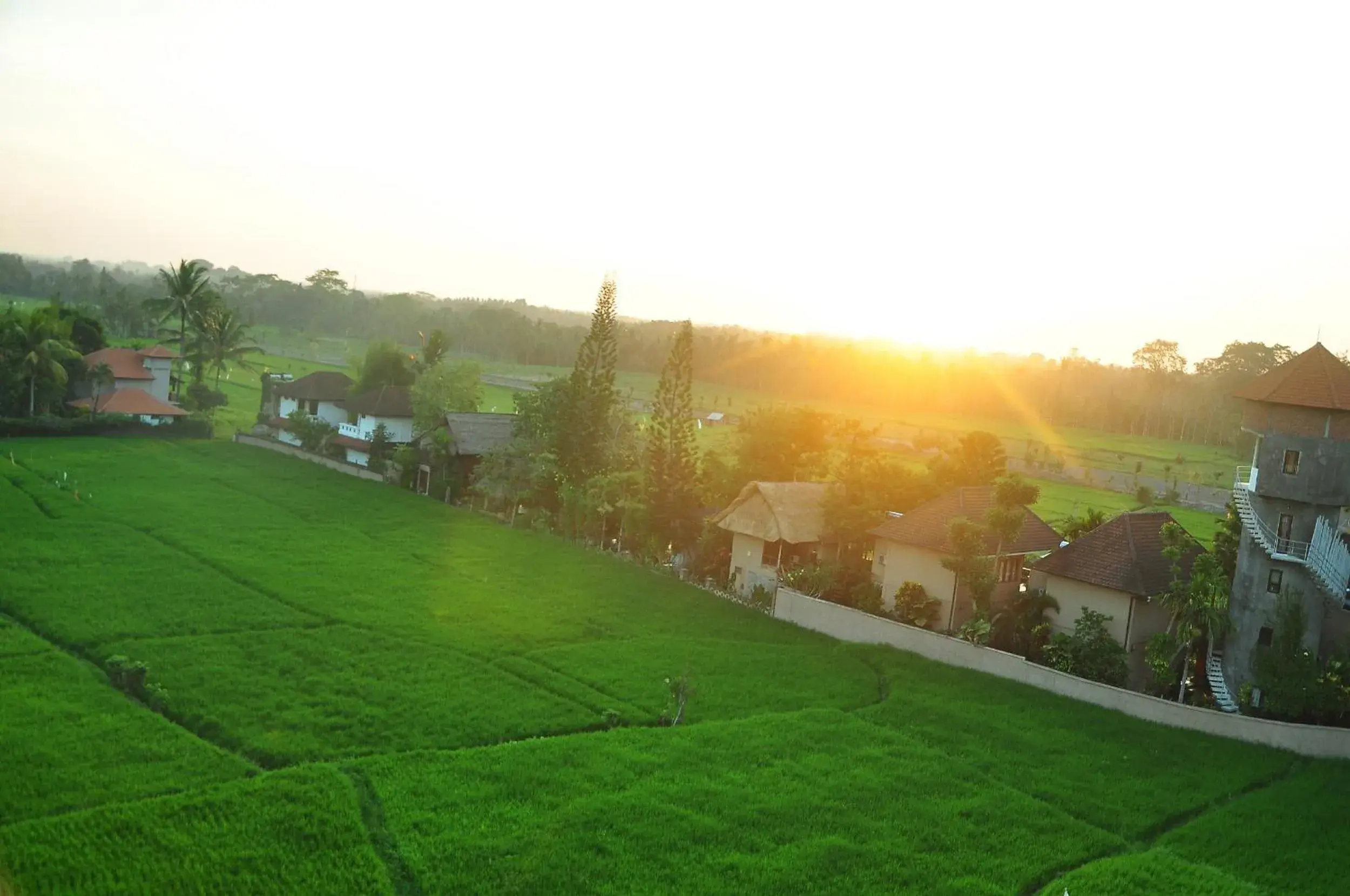 View (from property/room) in The Evitel Resort Ubud View (from property/room) in The Evitel Resort Ubud