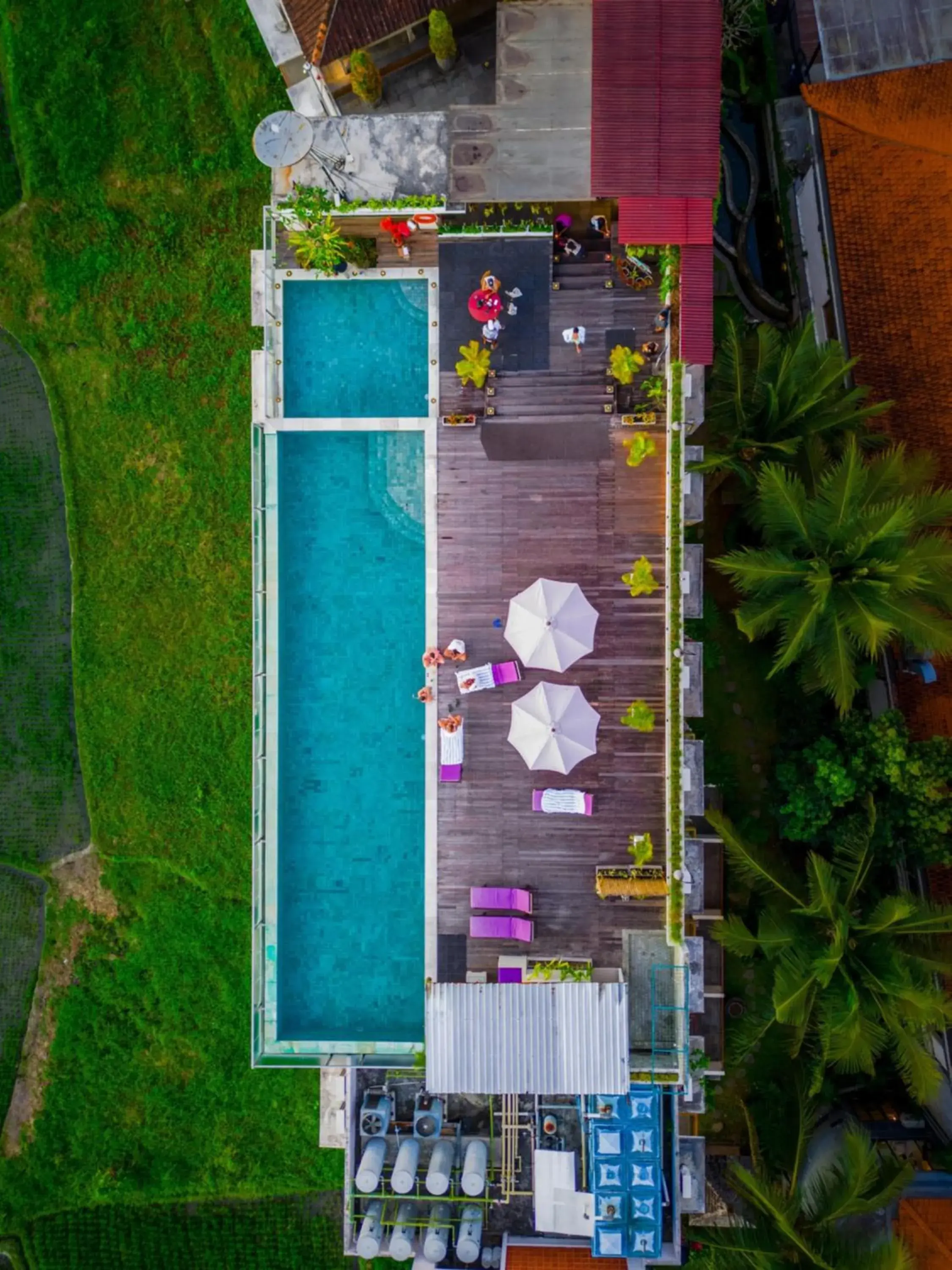 Swimming pool in The Evitel Resort Ubud Swimming pool in The Evitel Resort Ubud