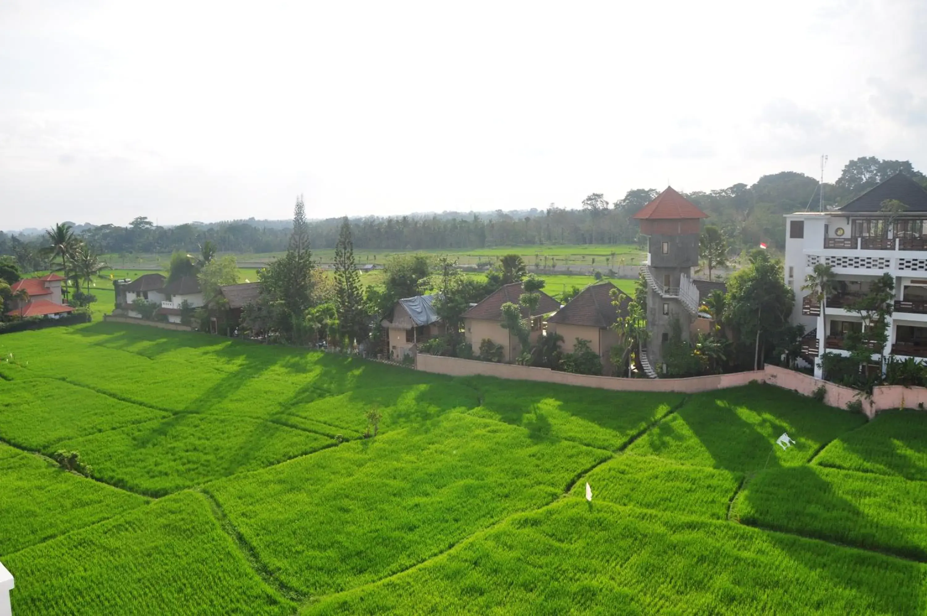 View (from property/room) in The Evitel Resort Ubud View (from property/room) in The Evitel Resort Ubud
