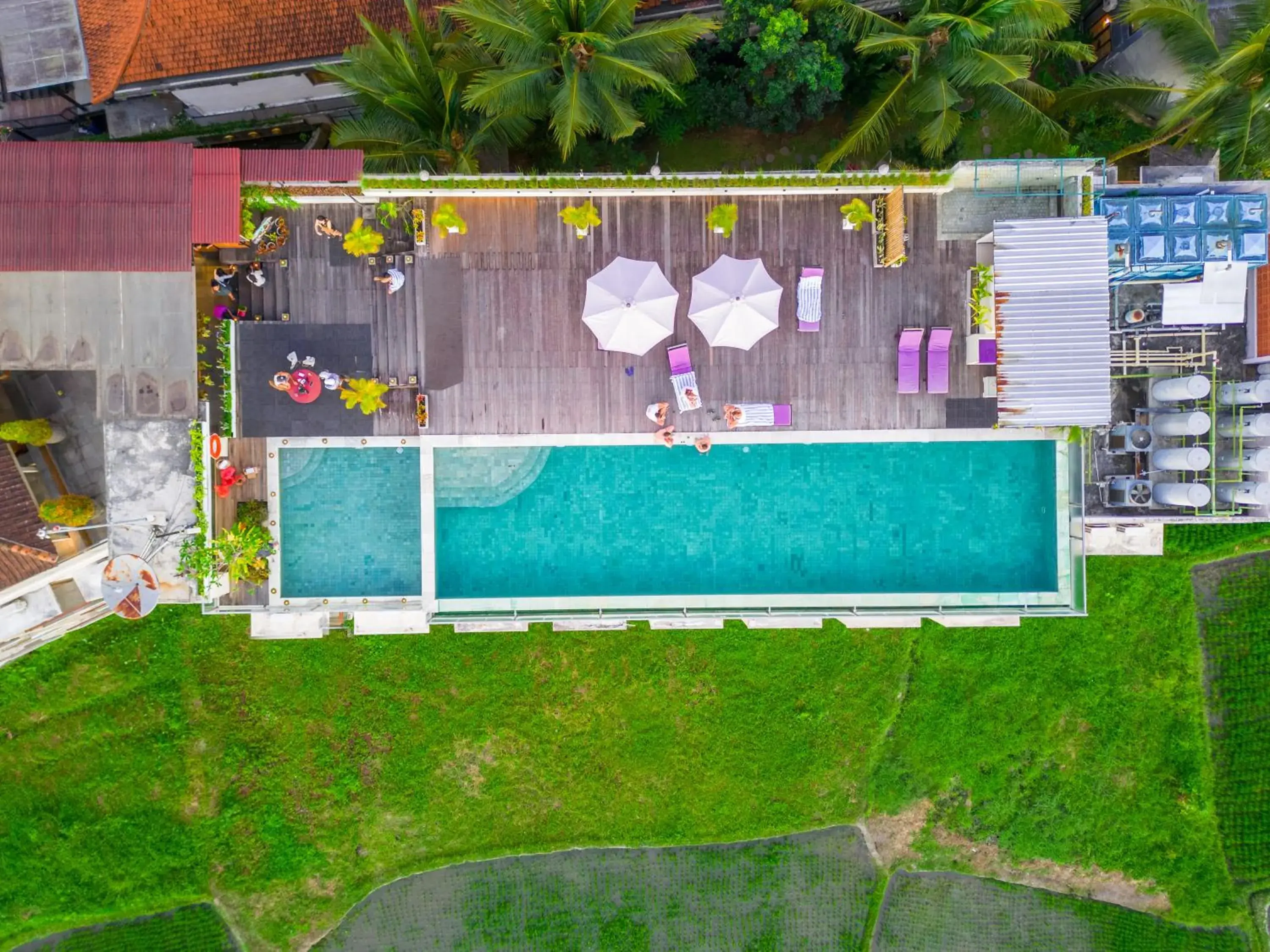 Pool view in The Evitel Resort Ubud Pool view in The Evitel Resort Ubud