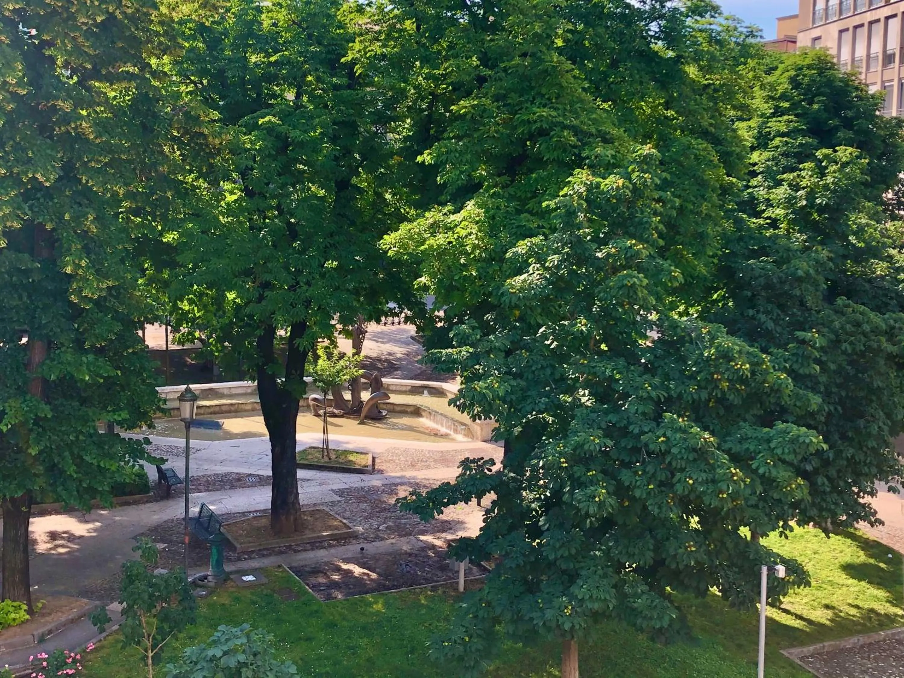 Garden in Hotel Sanmicheli