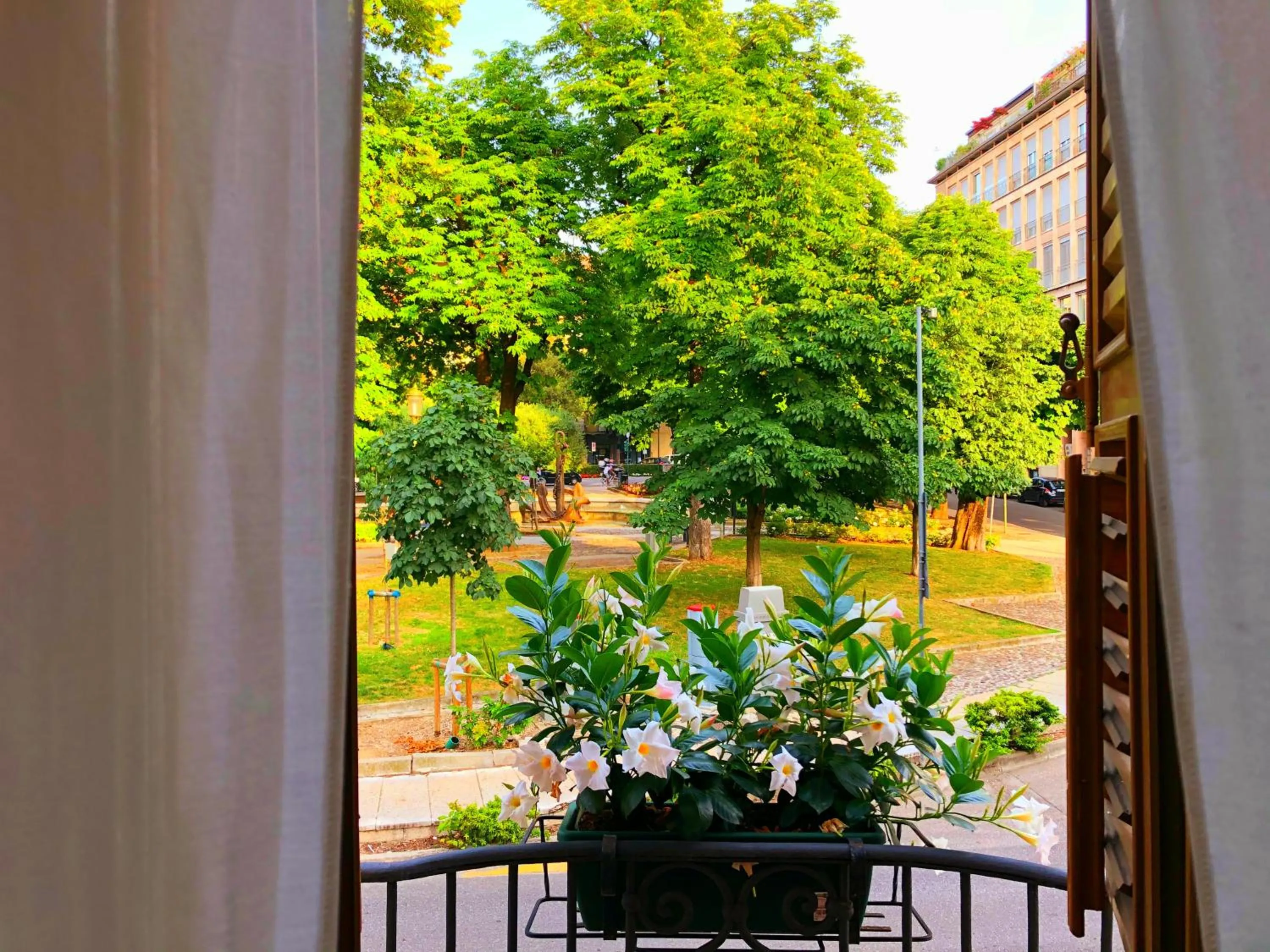 Balcony/Terrace in Hotel Sanmicheli
