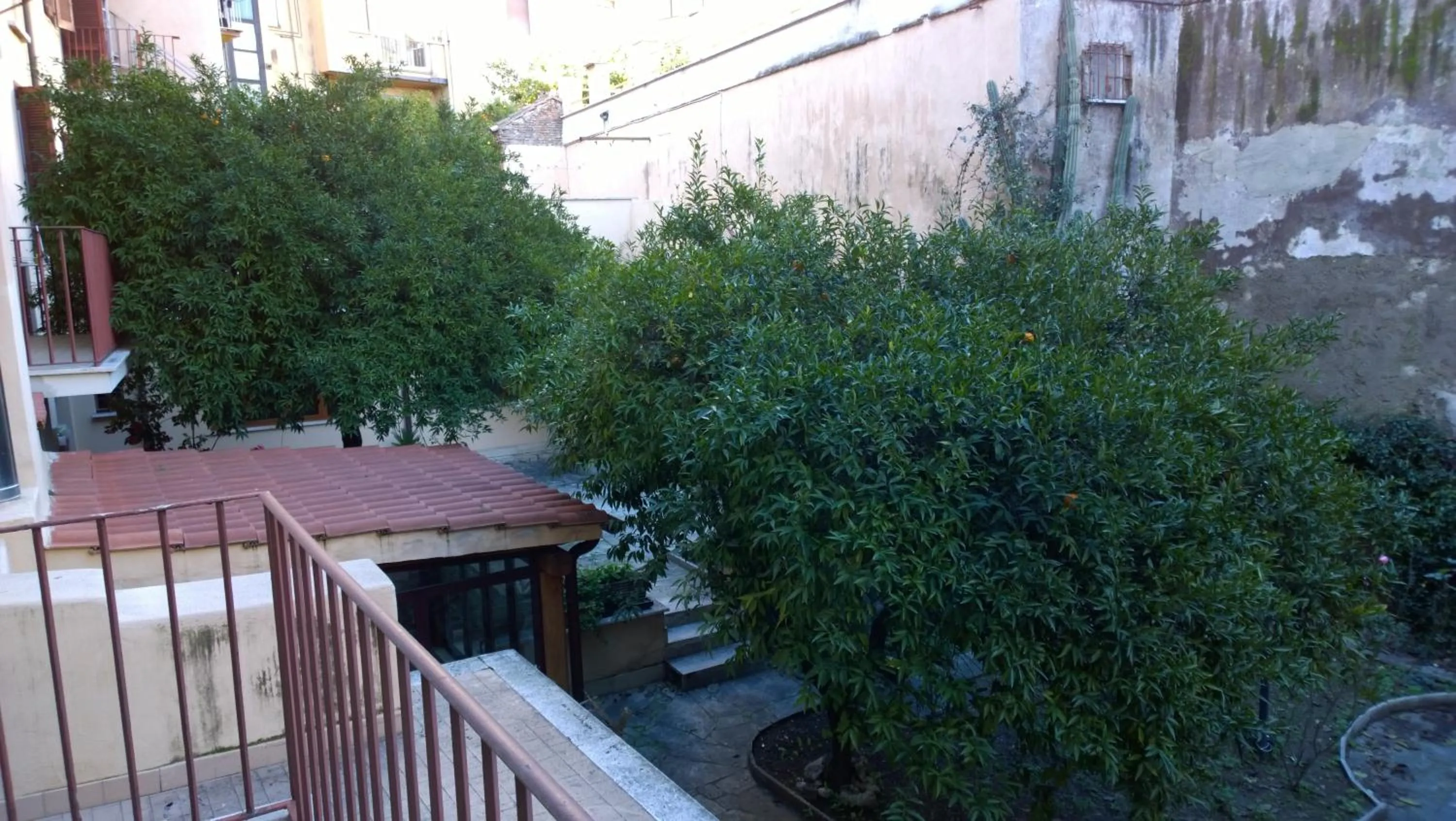 Day in NEW GENERATION HOSTEL Rome center