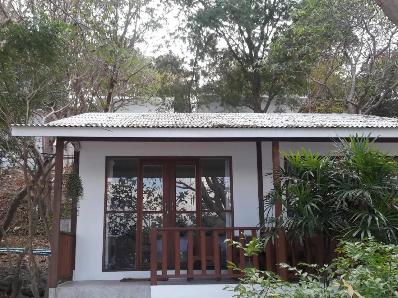 Property building in The C Samet Beach Resort SHA Plus