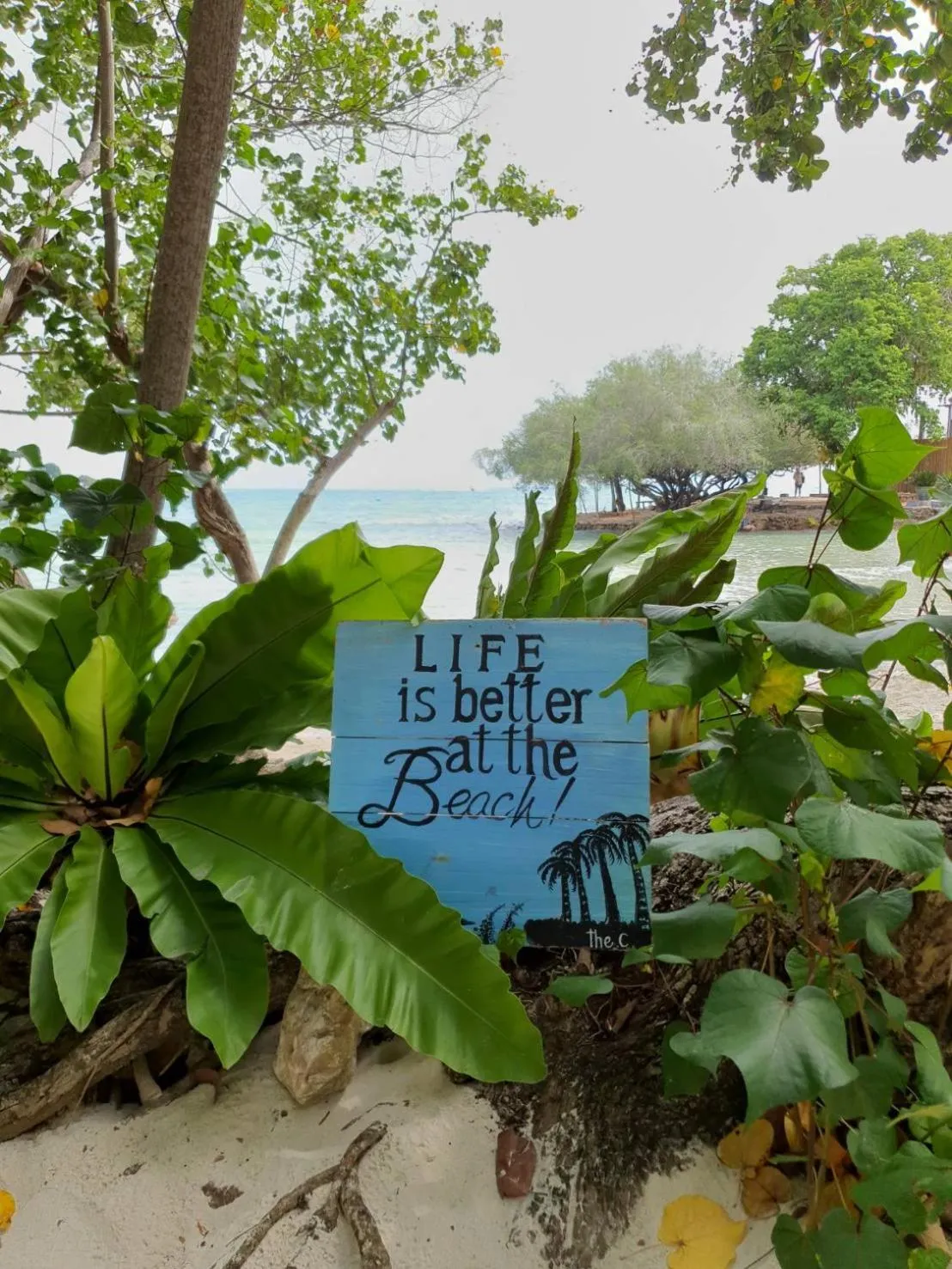 The C Samet Beach Resort SHA Plus