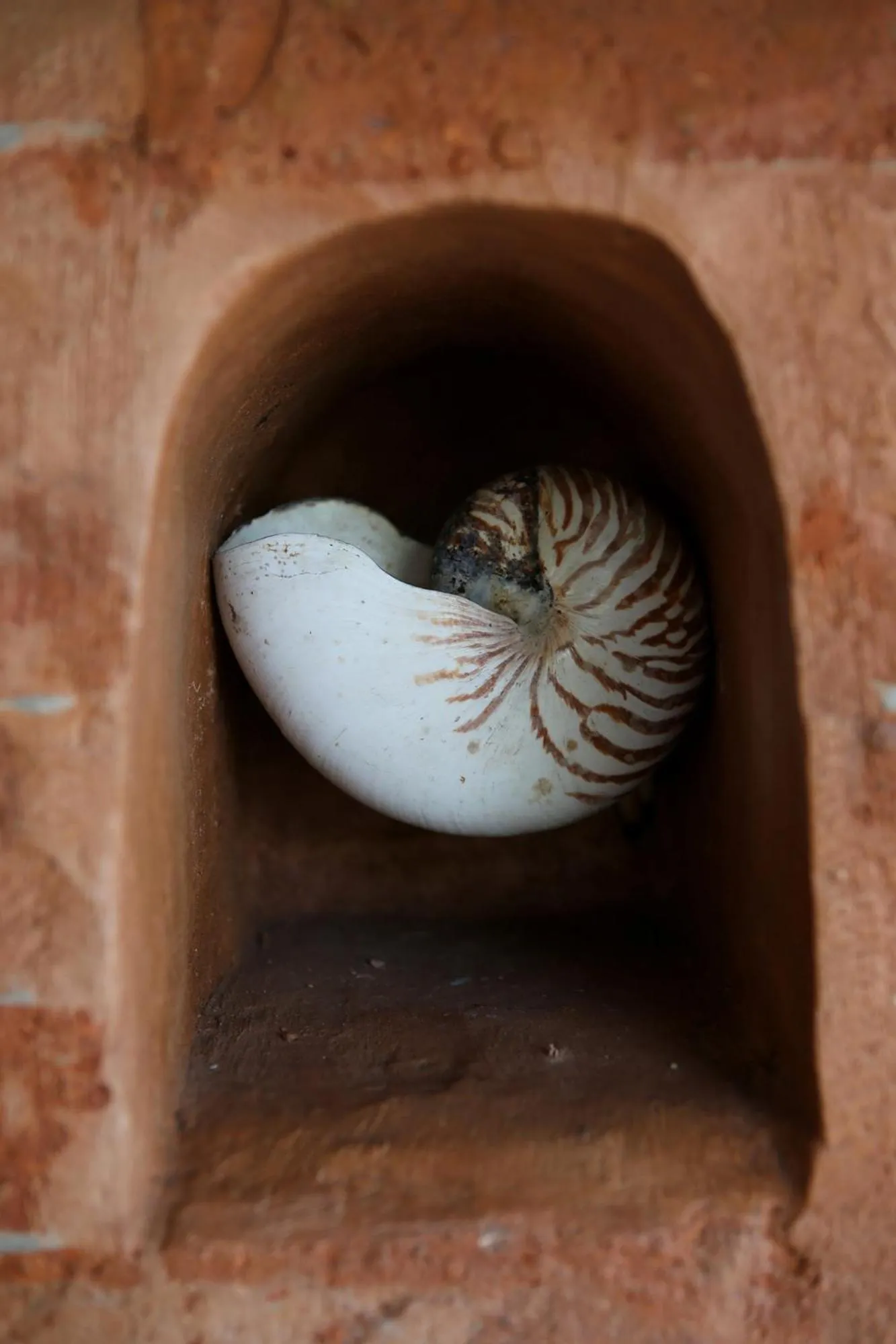 Gili Asahan Eco Lodge & Restaurant