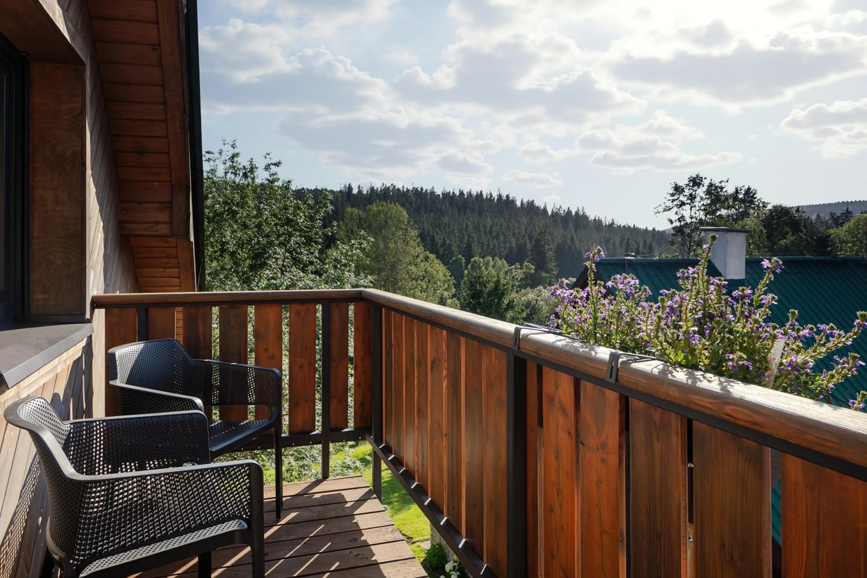 View (from property/room) in Hotel Friuli