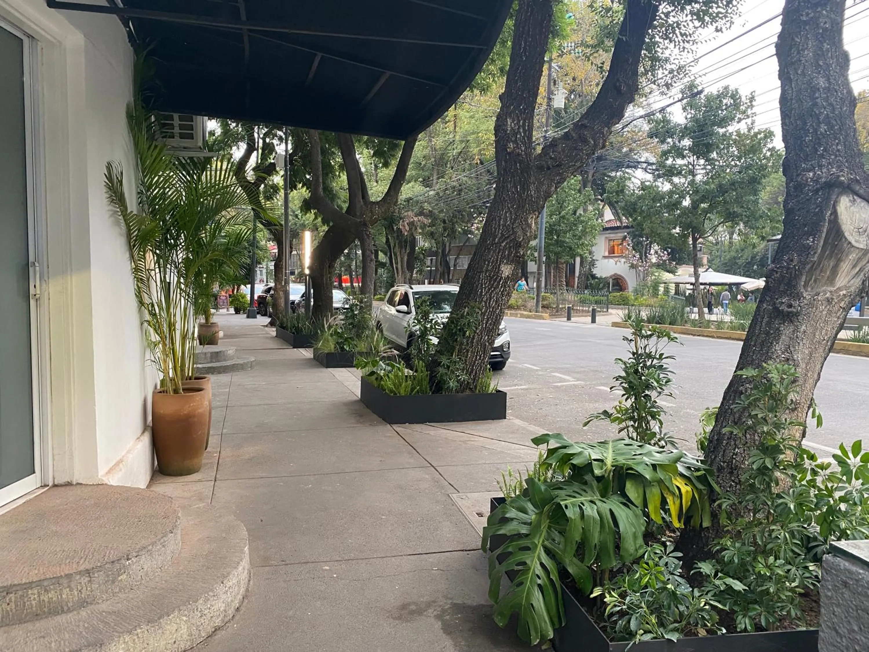 Casa Corp Boutique Suites in Condesa