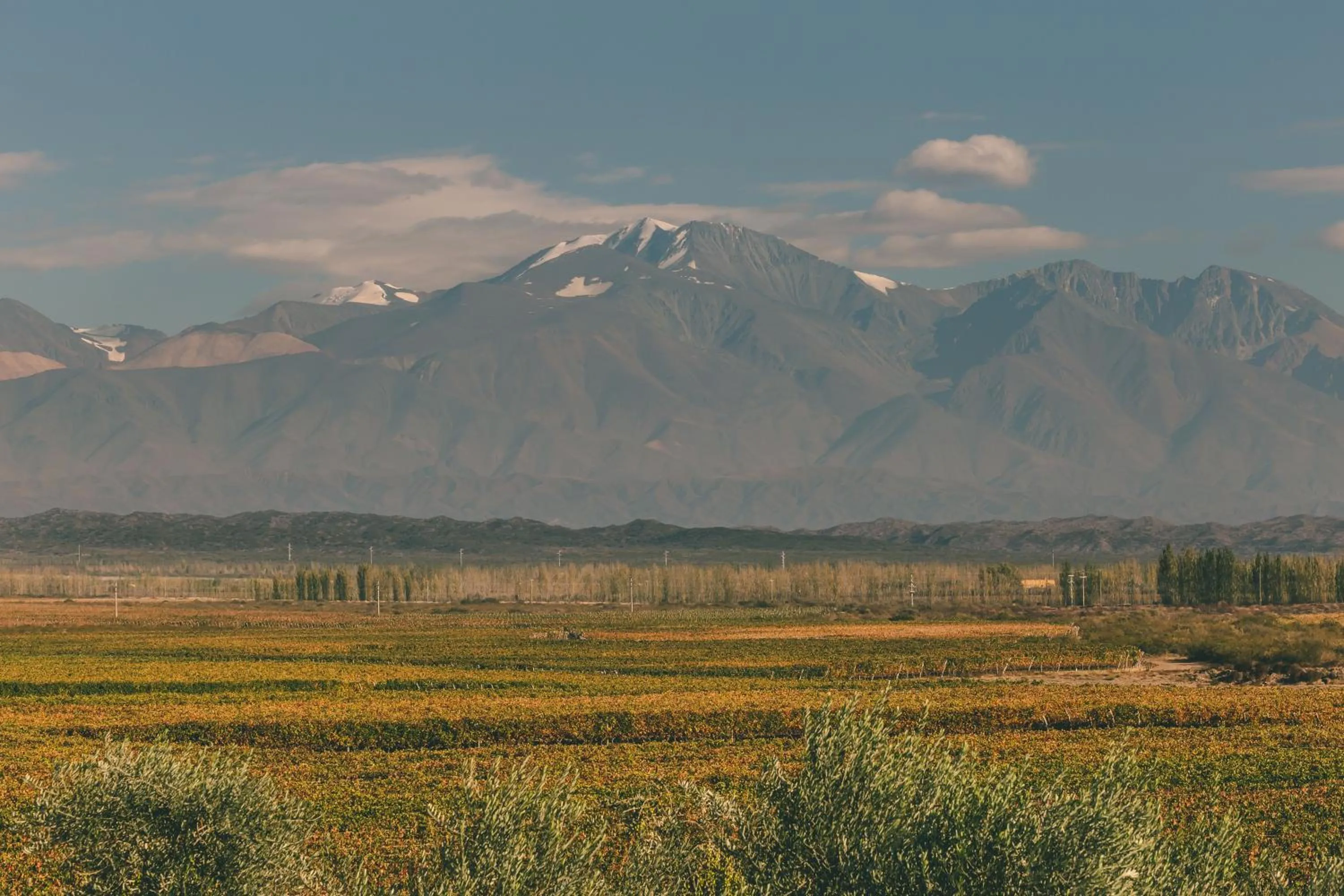 Nearby landmark in Rosell Boher Winery Lodge & Spa