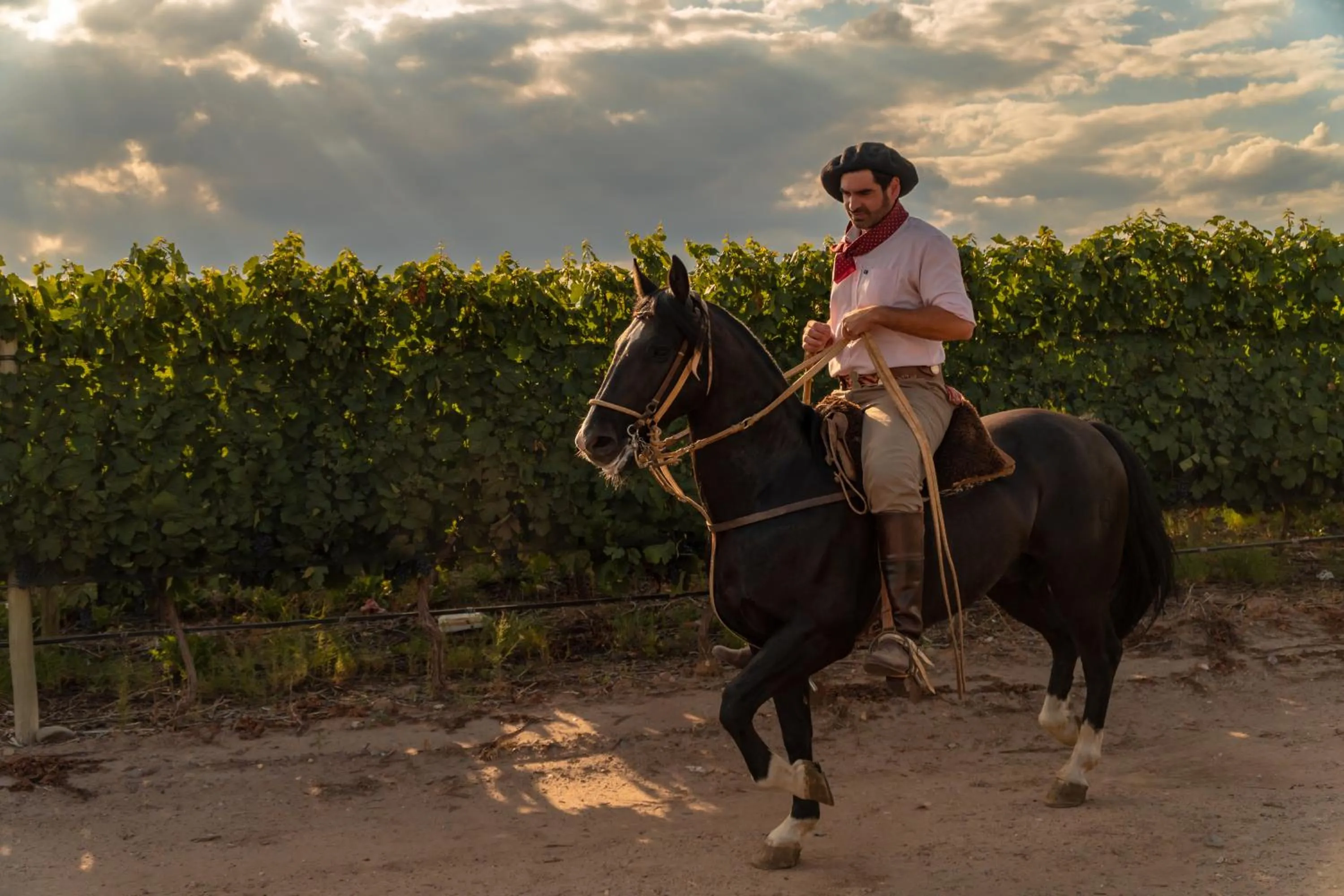 Day in Rosell Boher Winery Lodge & Spa