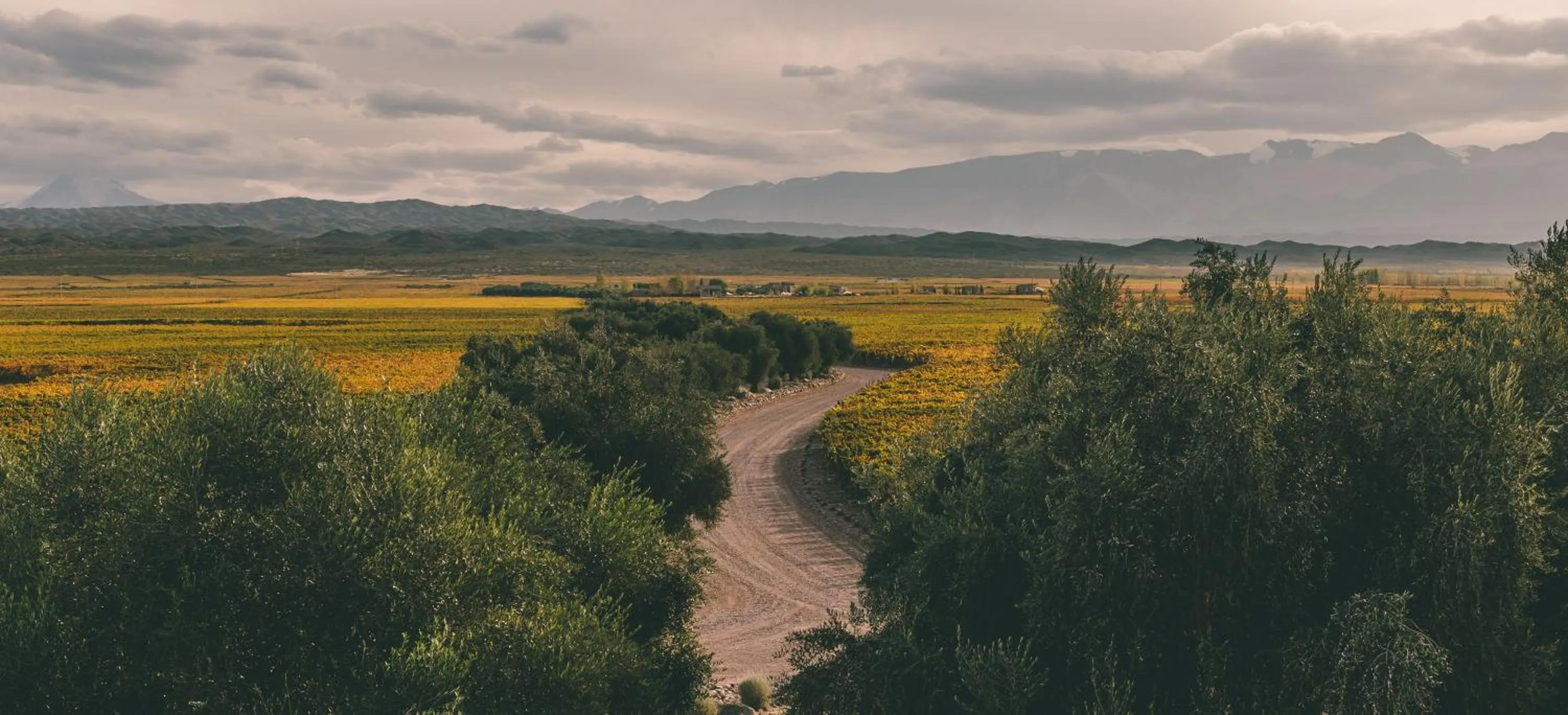 Nearby landmark in Rosell Boher Winery Lodge & Spa