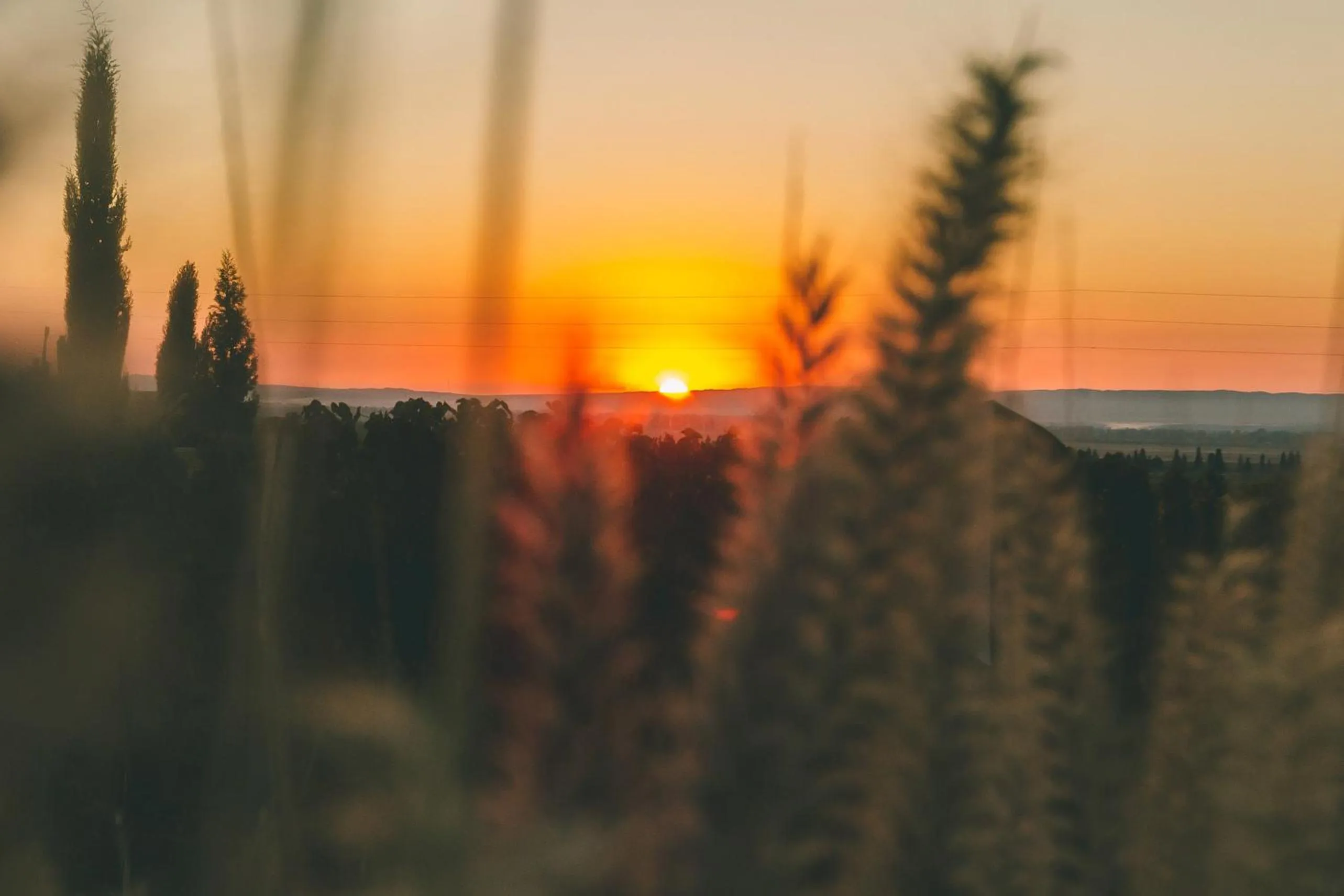 Day in Rosell Boher Winery Lodge & Spa