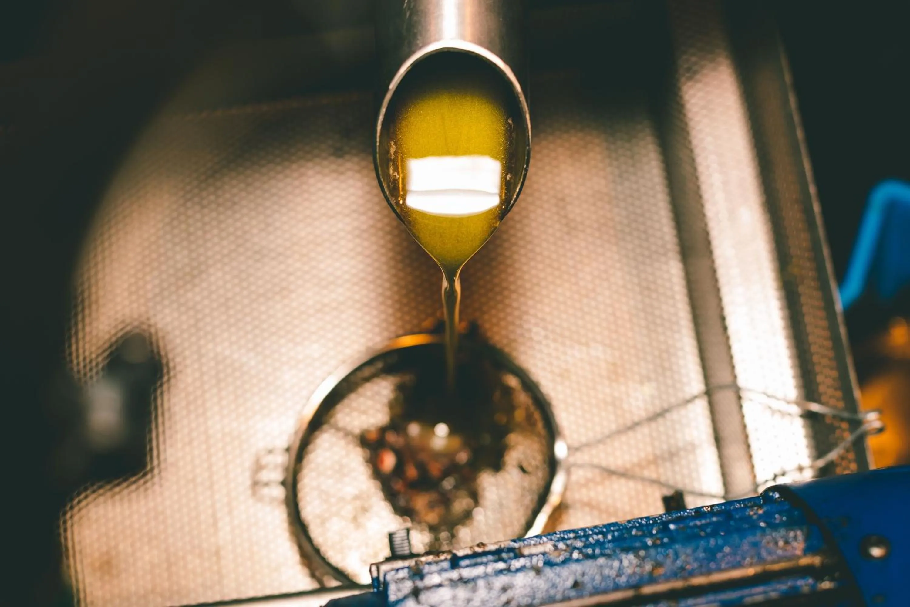 Restaurant/places to eat in Rosell Boher Winery Lodge & Spa