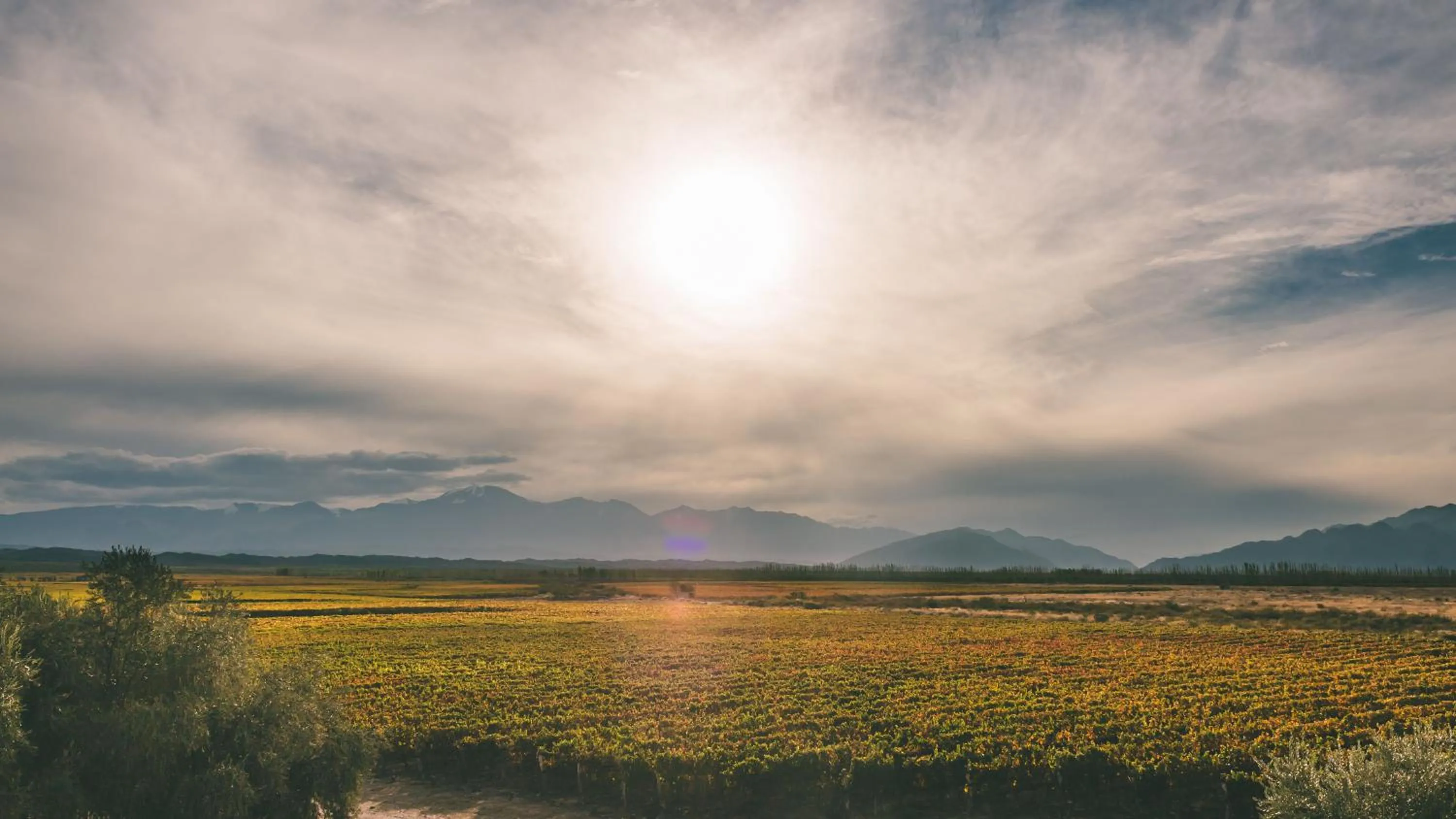 Nearby landmark in Rosell Boher Winery Lodge & Spa