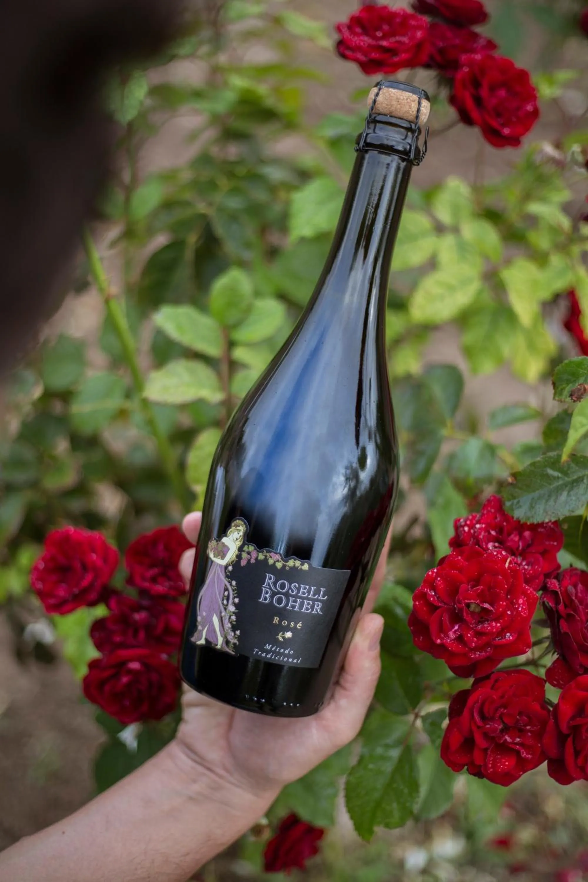 Restaurant/places to eat in Rosell Boher Winery Lodge & Spa