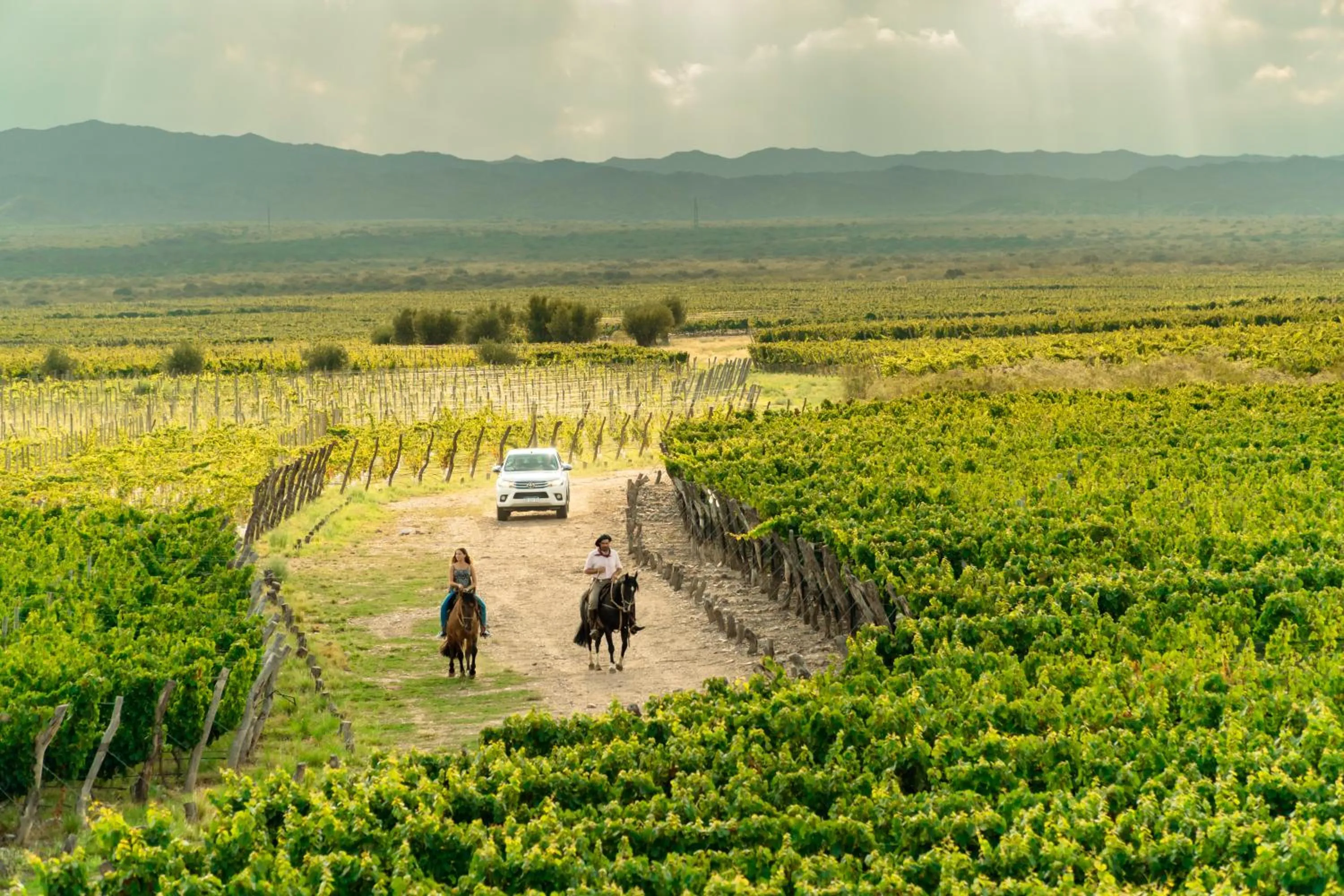 Nearby landmark in Rosell Boher Winery Lodge & Spa