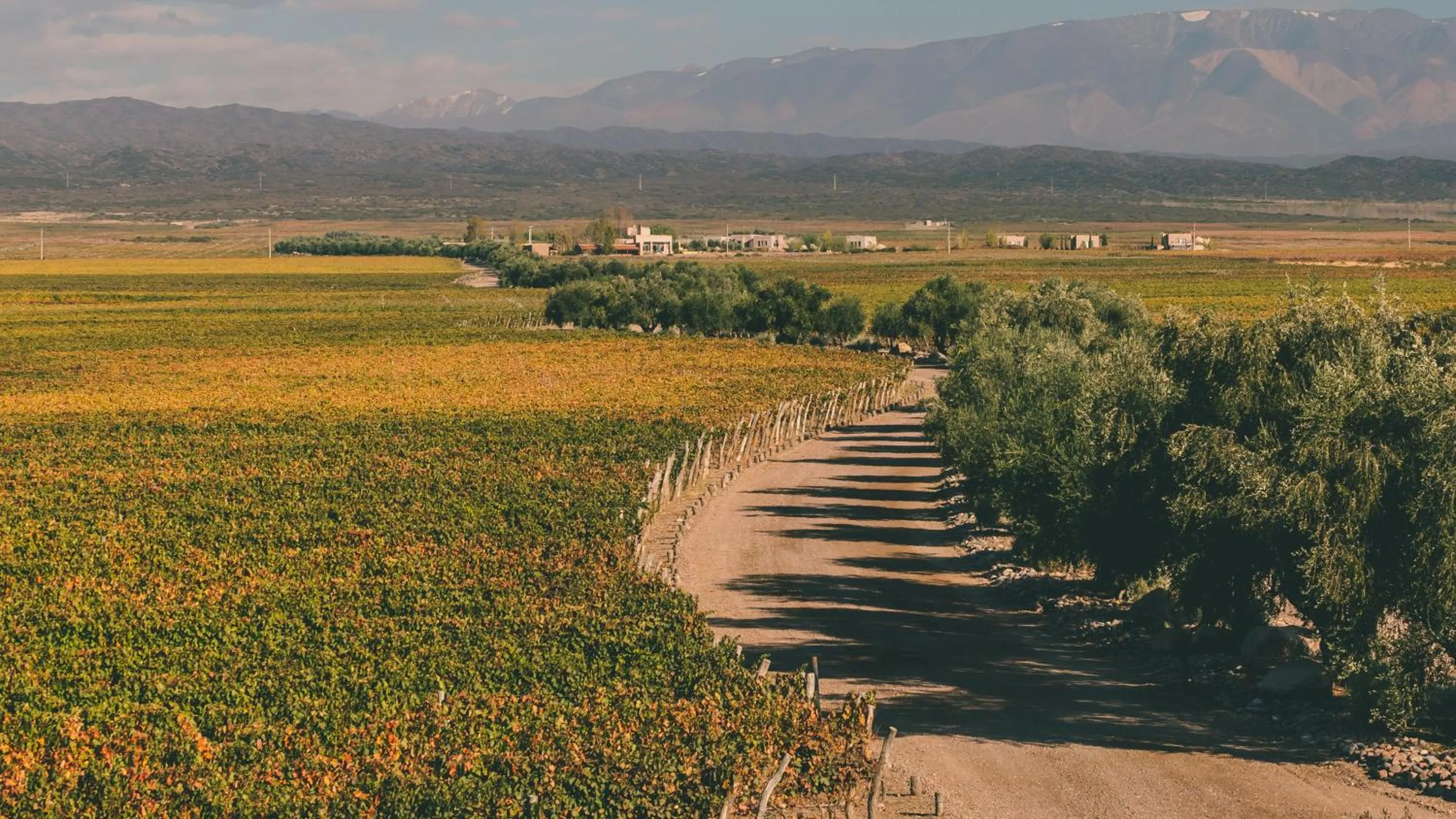 Nearby landmark in Rosell Boher Winery Lodge & Spa