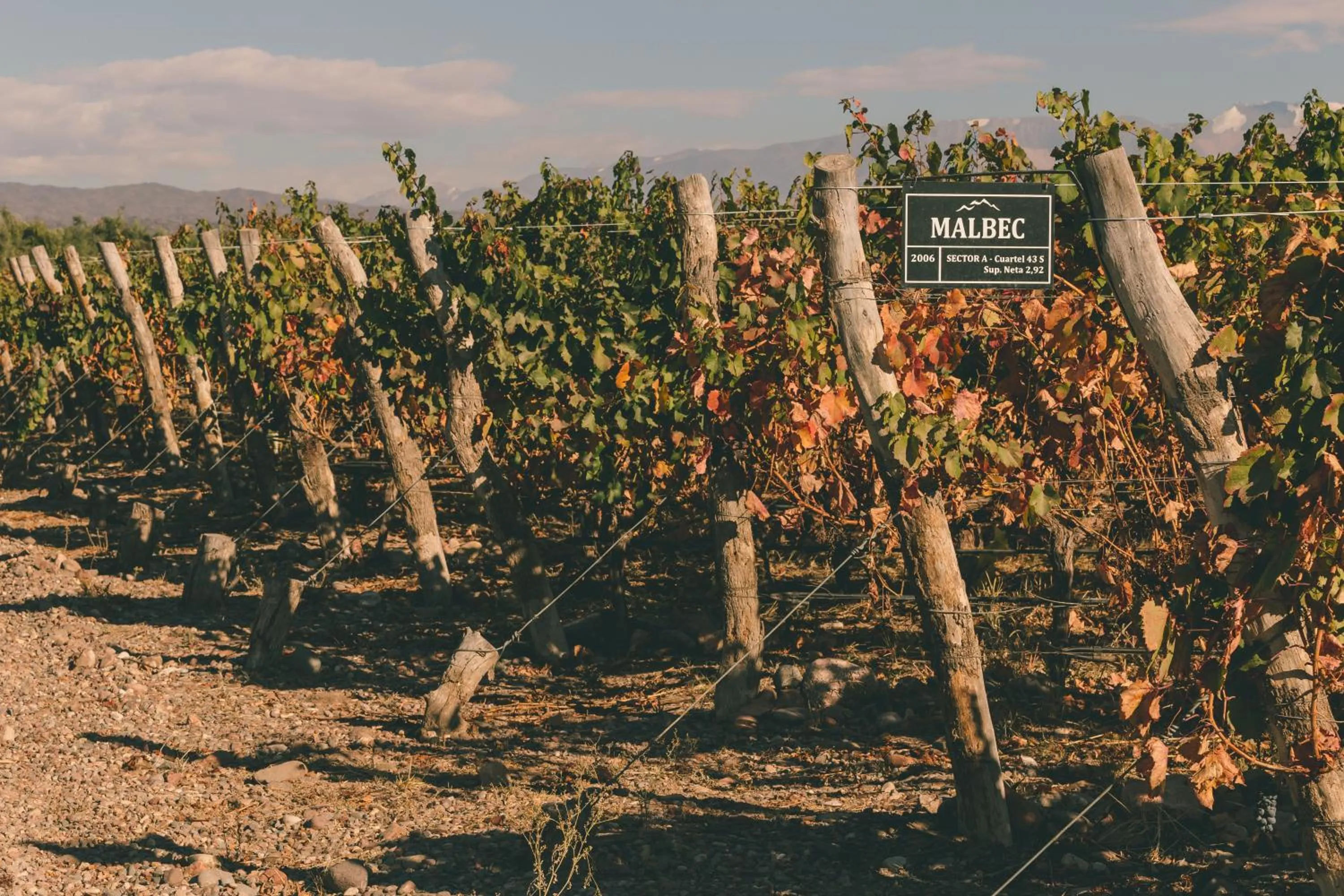 Spring in Rosell Boher Winery Lodge & Spa