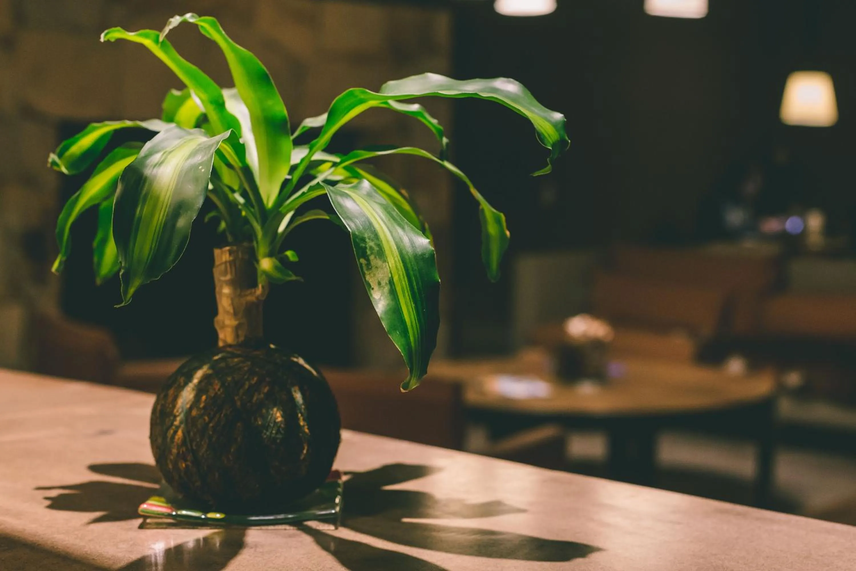 Lobby or reception in Rosell Boher Winery Lodge & Spa