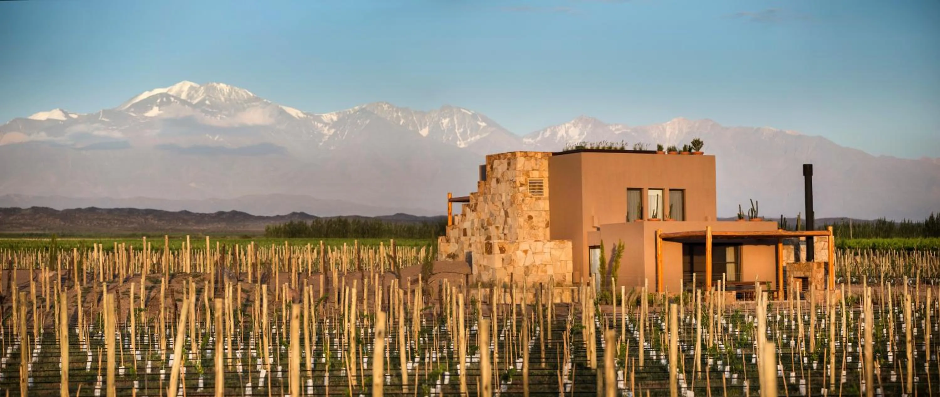 Toilet in Rosell Boher Winery Lodge & Spa