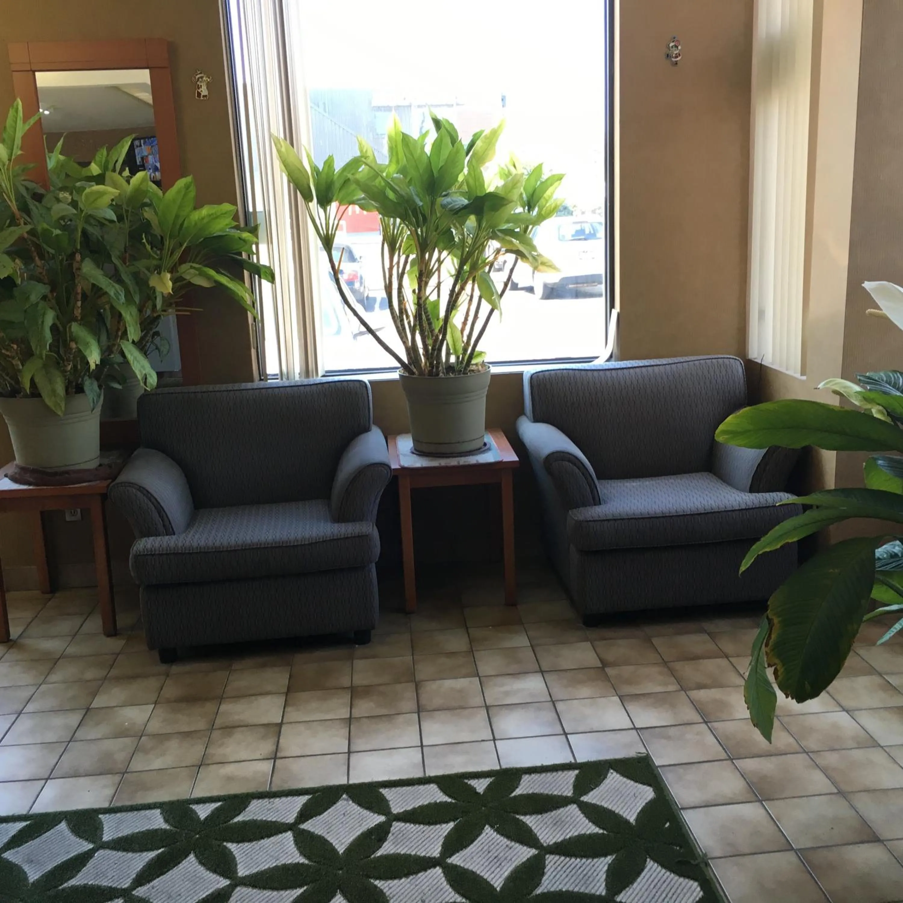 Lobby or reception in Avenue Motel