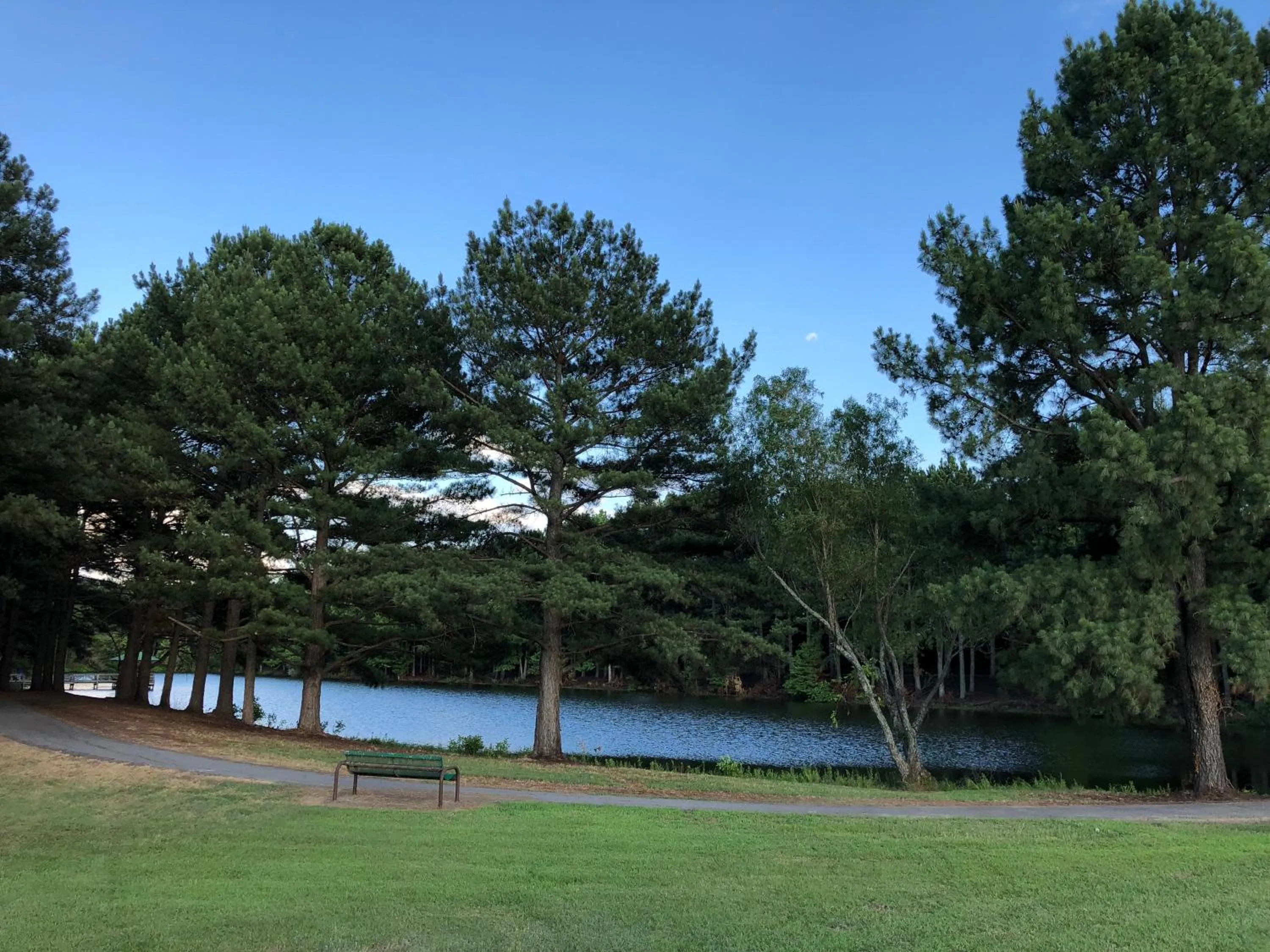 Garden in Travel Inn