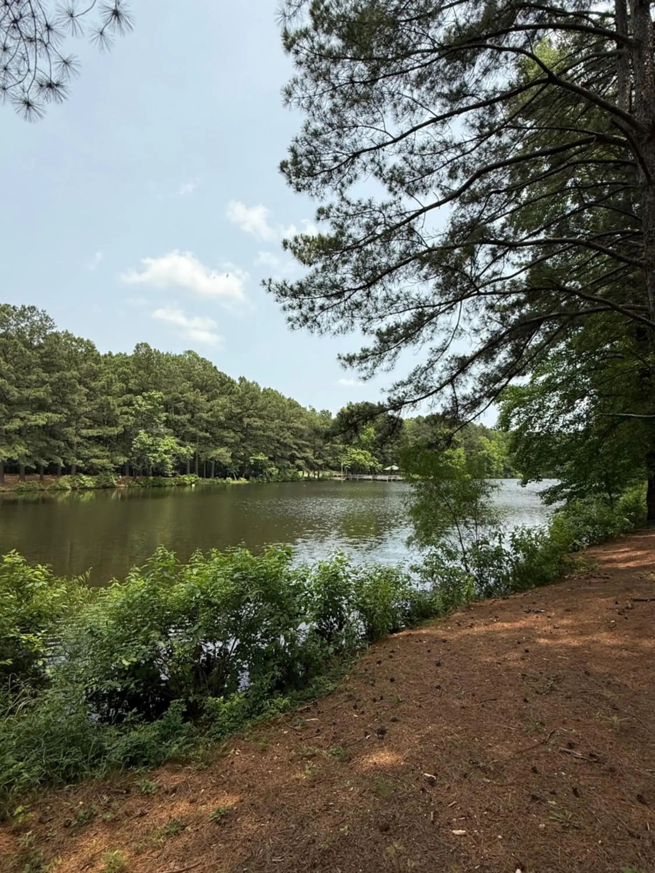 Lake view in Travel Inn Lake view in Travel Inn