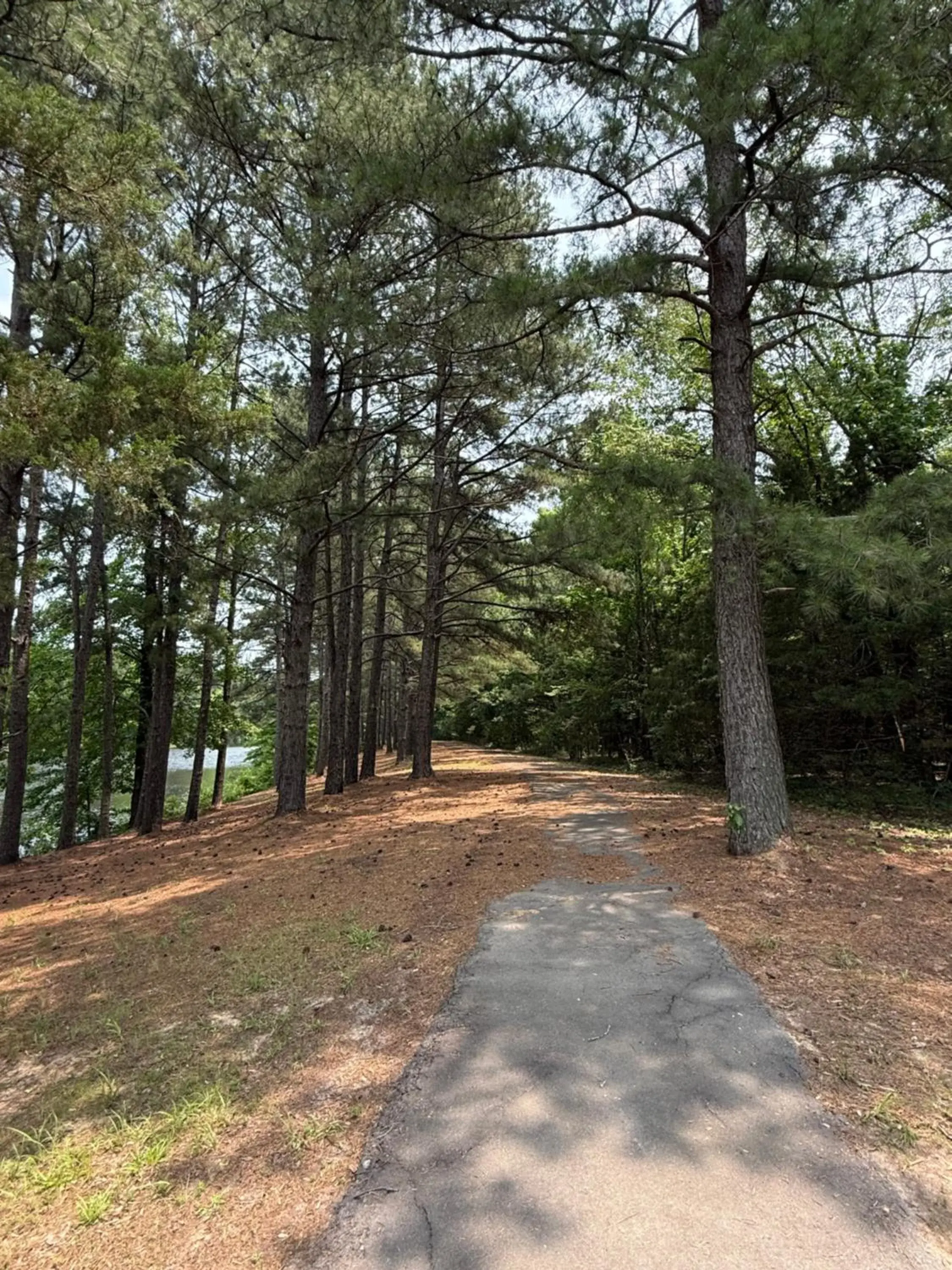 Travel Inn Travel Inn