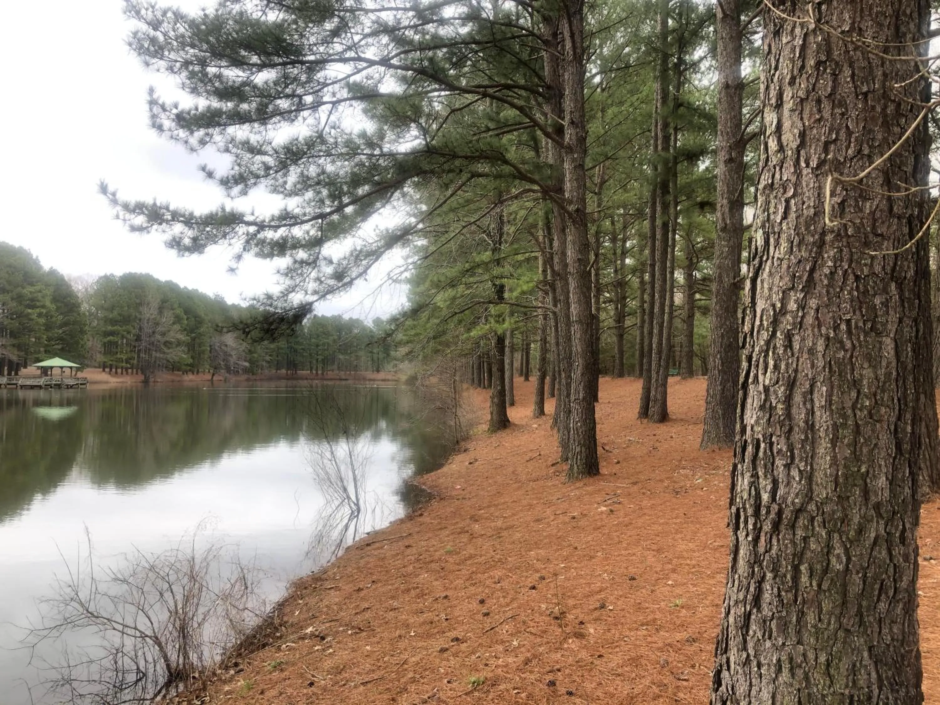 Natural landscape in Travel Inn