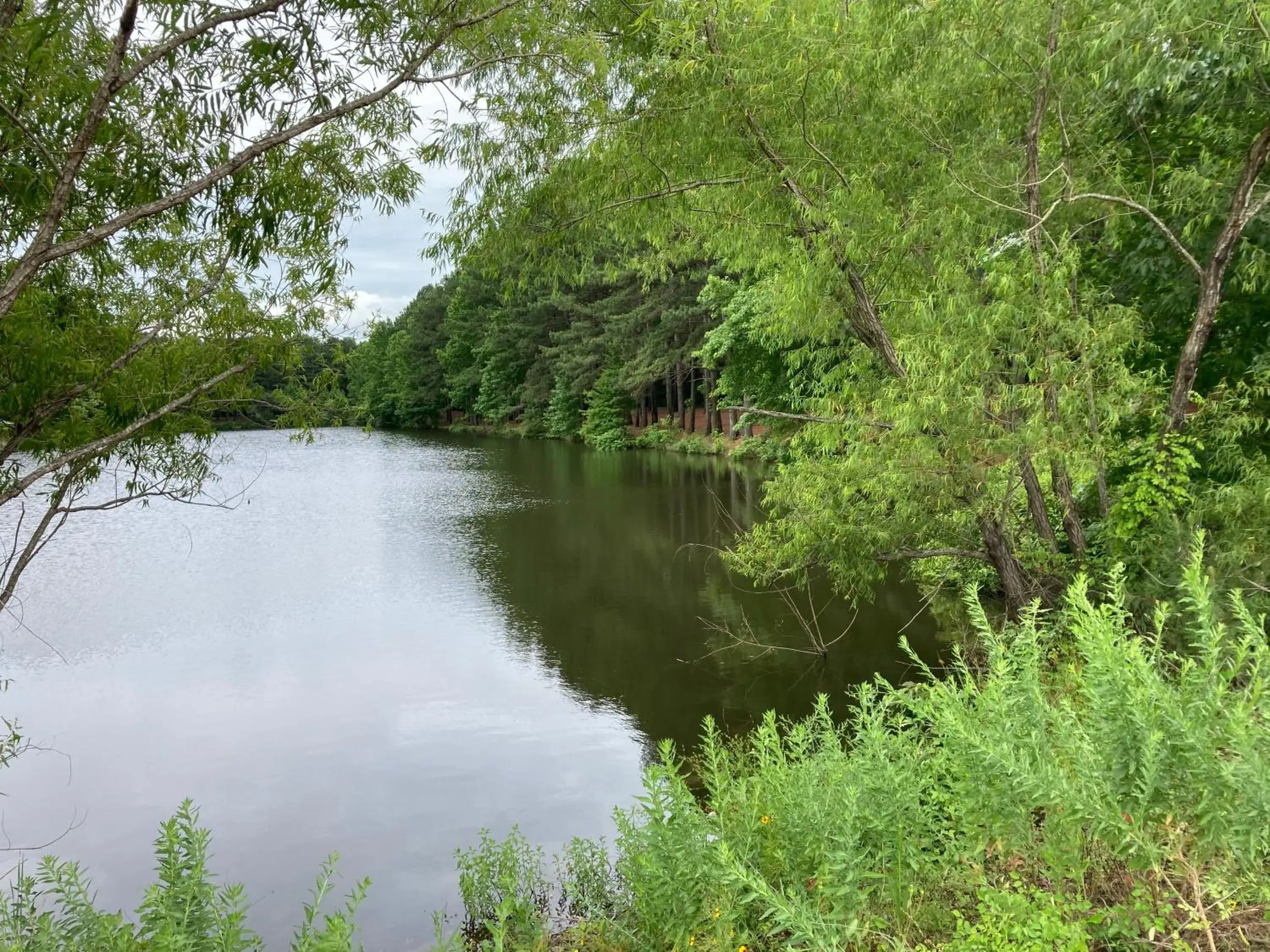 River view in Travel Inn River view in Travel Inn