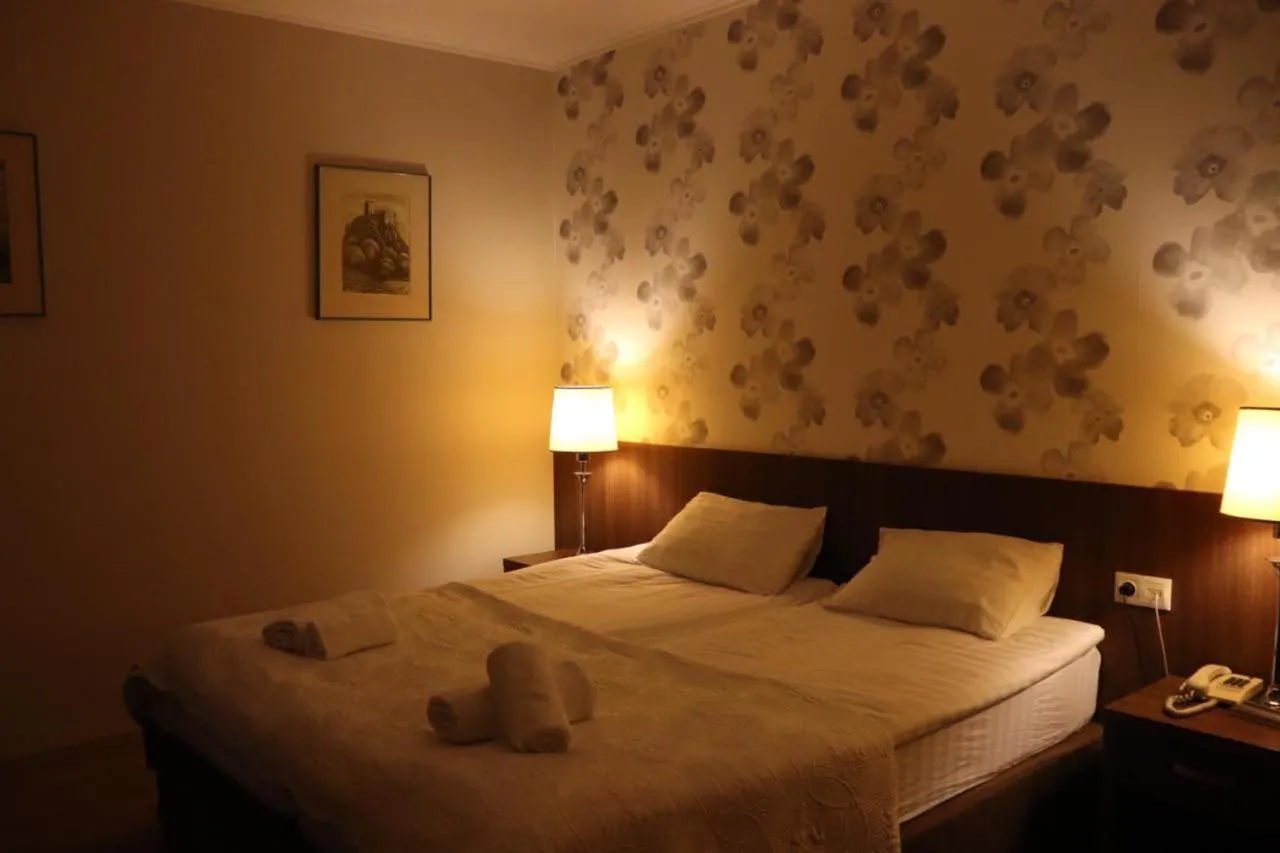Comfort Double or Twin Room in Martvili Palace