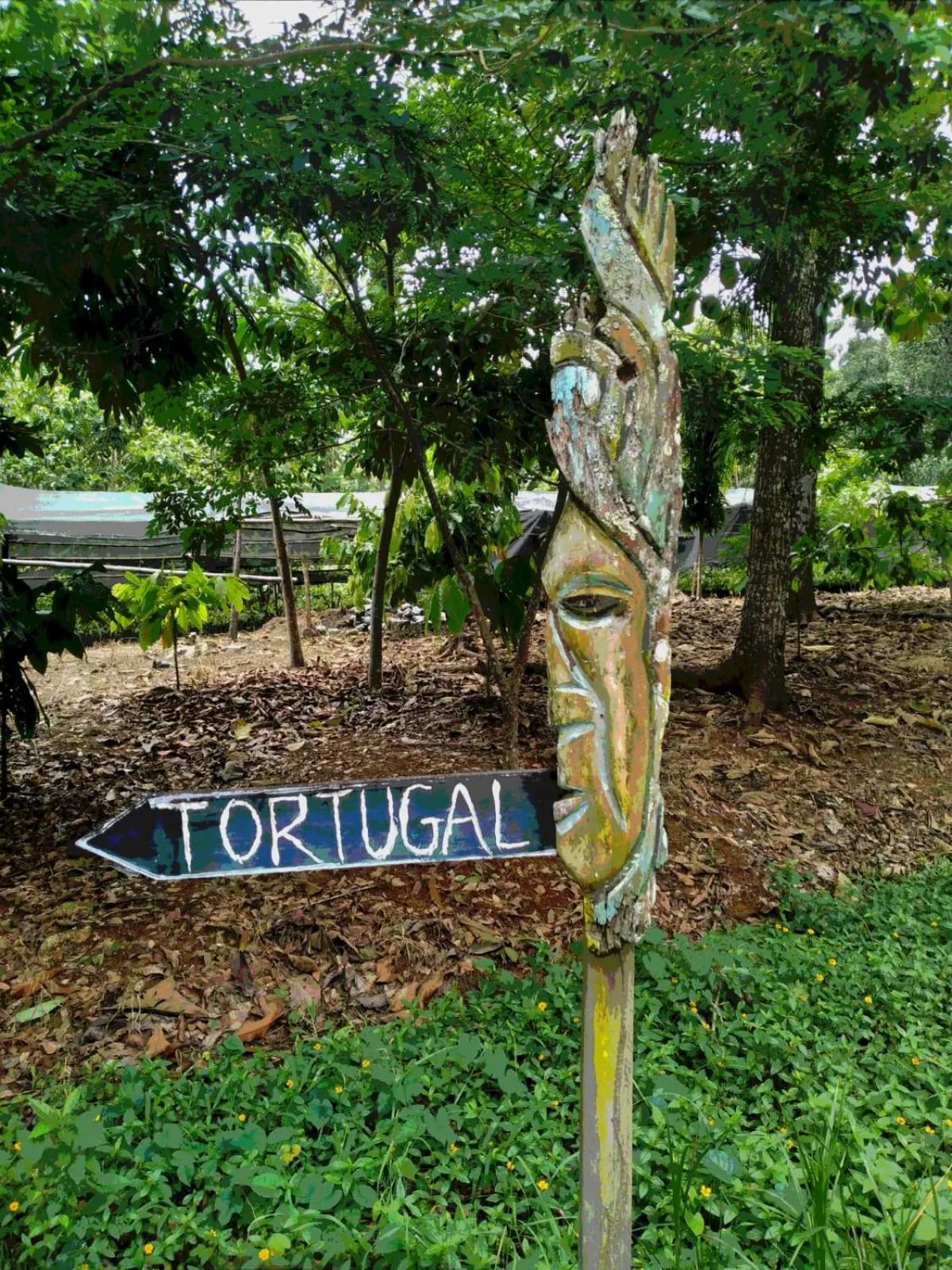 Nearby landmark in Tortugal Boutique River Lodge