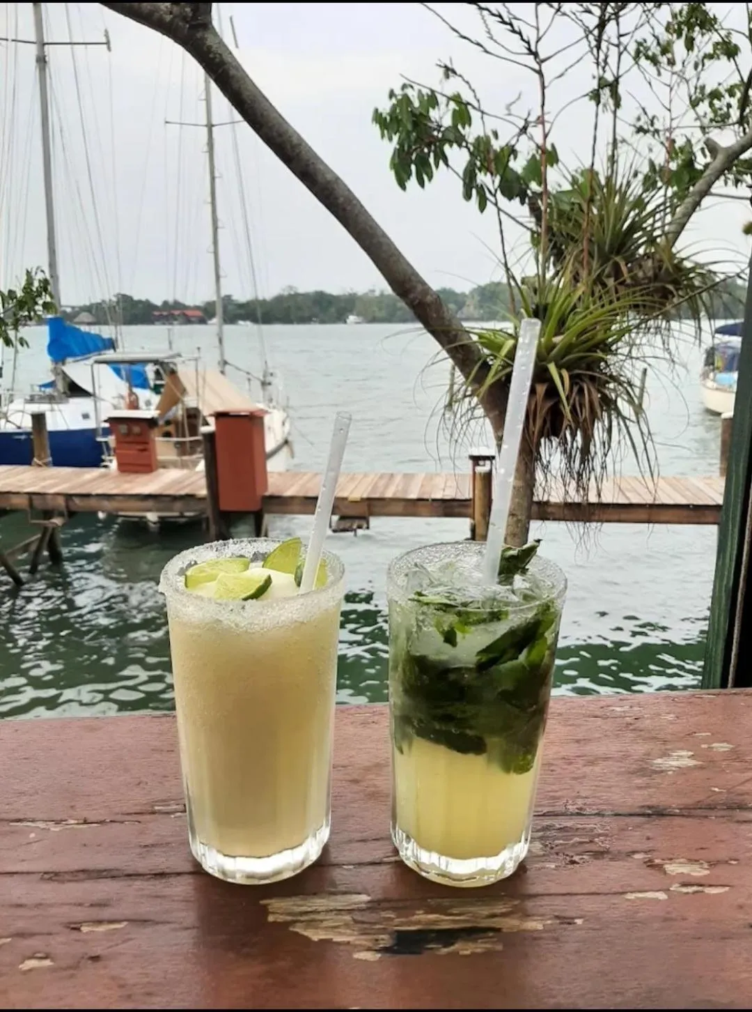 Property building in Tortugal Boutique River Lodge