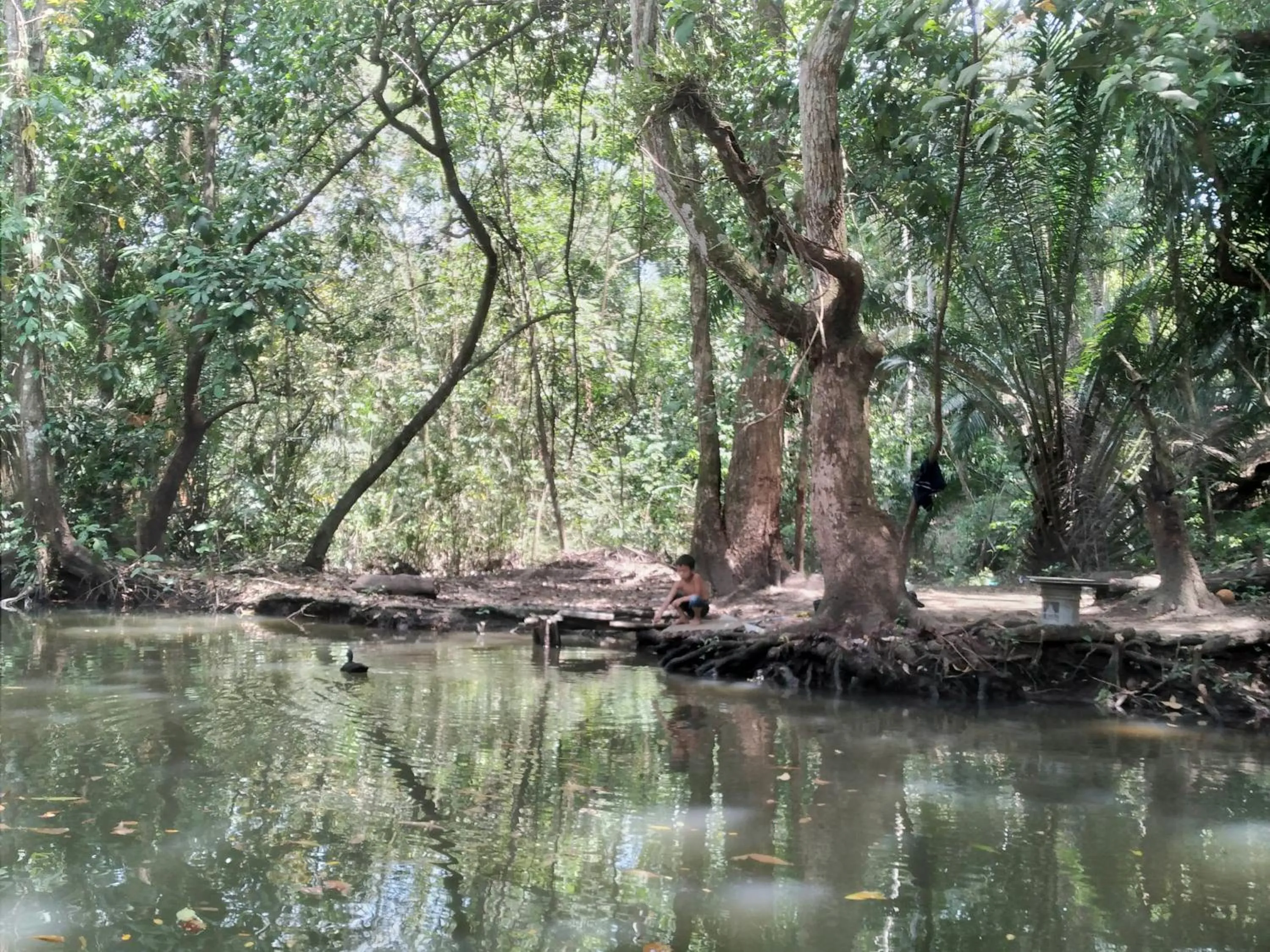 Nearby landmark in Tortugal Boutique River Lodge