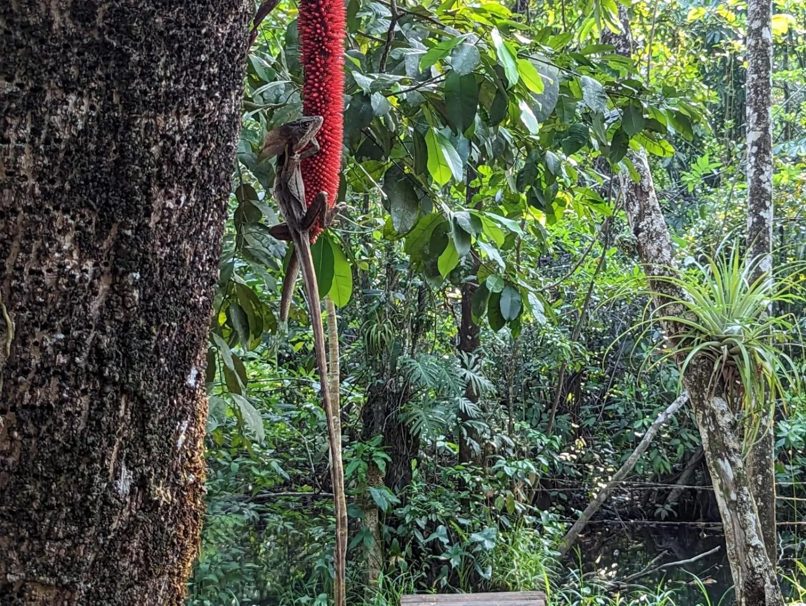Property building in Tortugal Boutique River Lodge
