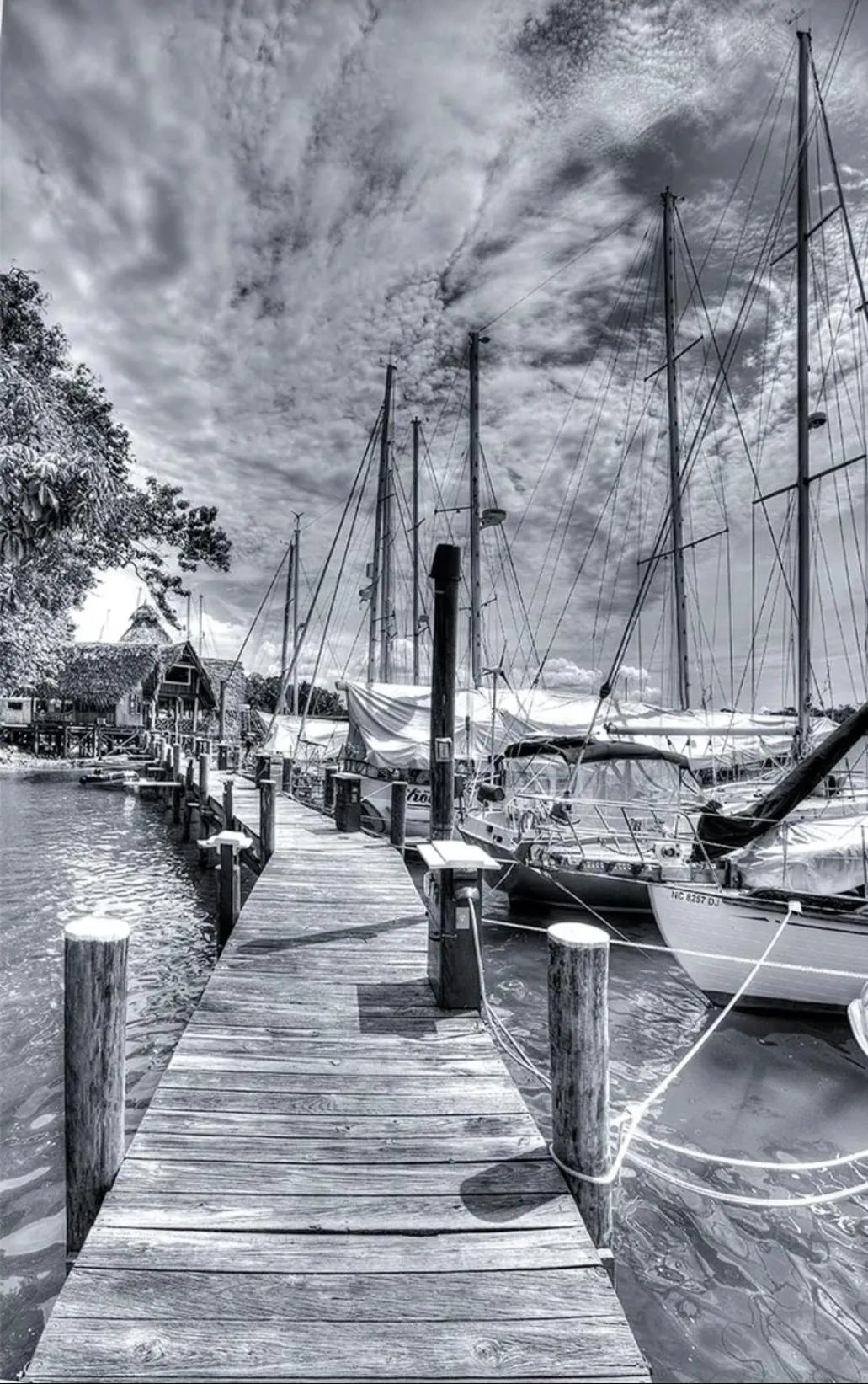 Property building in Tortugal Boutique River Lodge