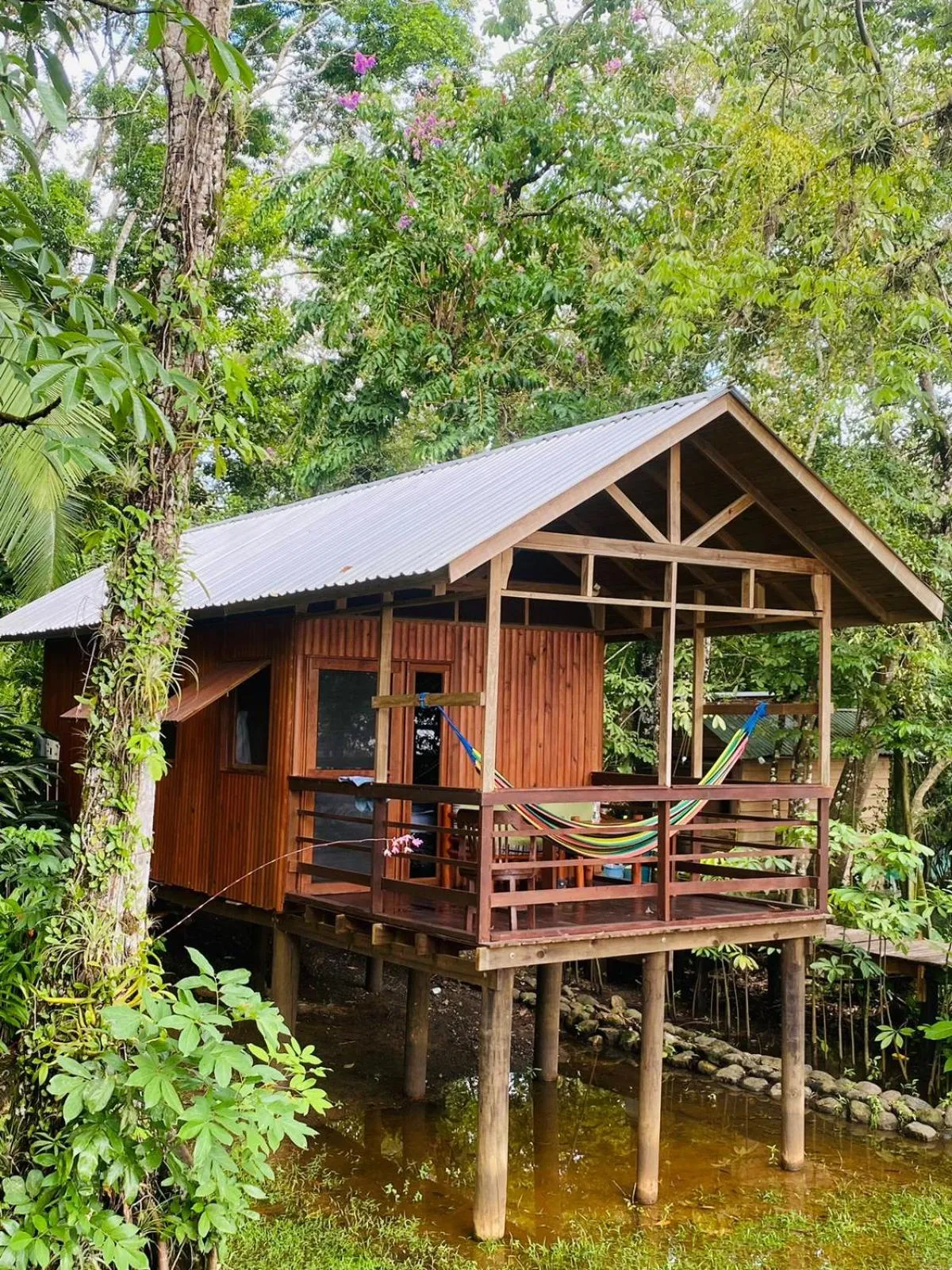 Property building in Tortugal Boutique River Lodge