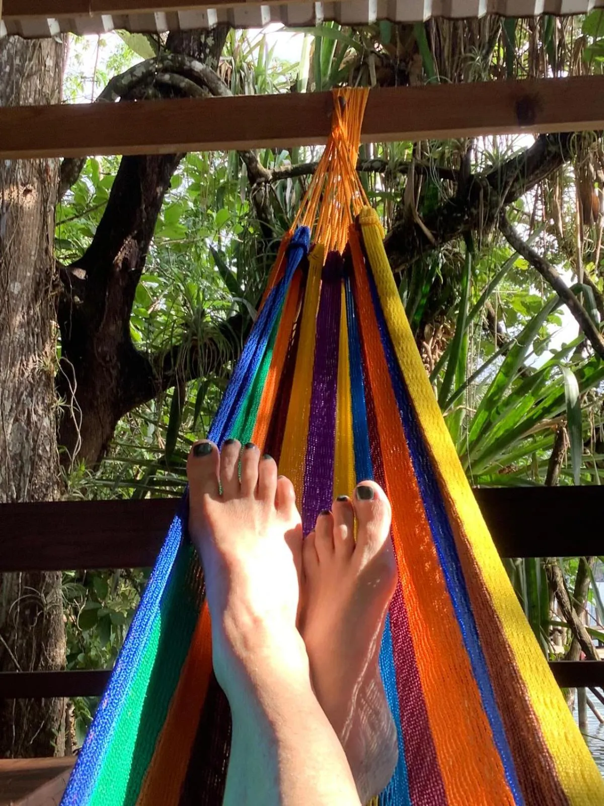 Day in The Golden Resort - Tortugal River Lodge & Marina