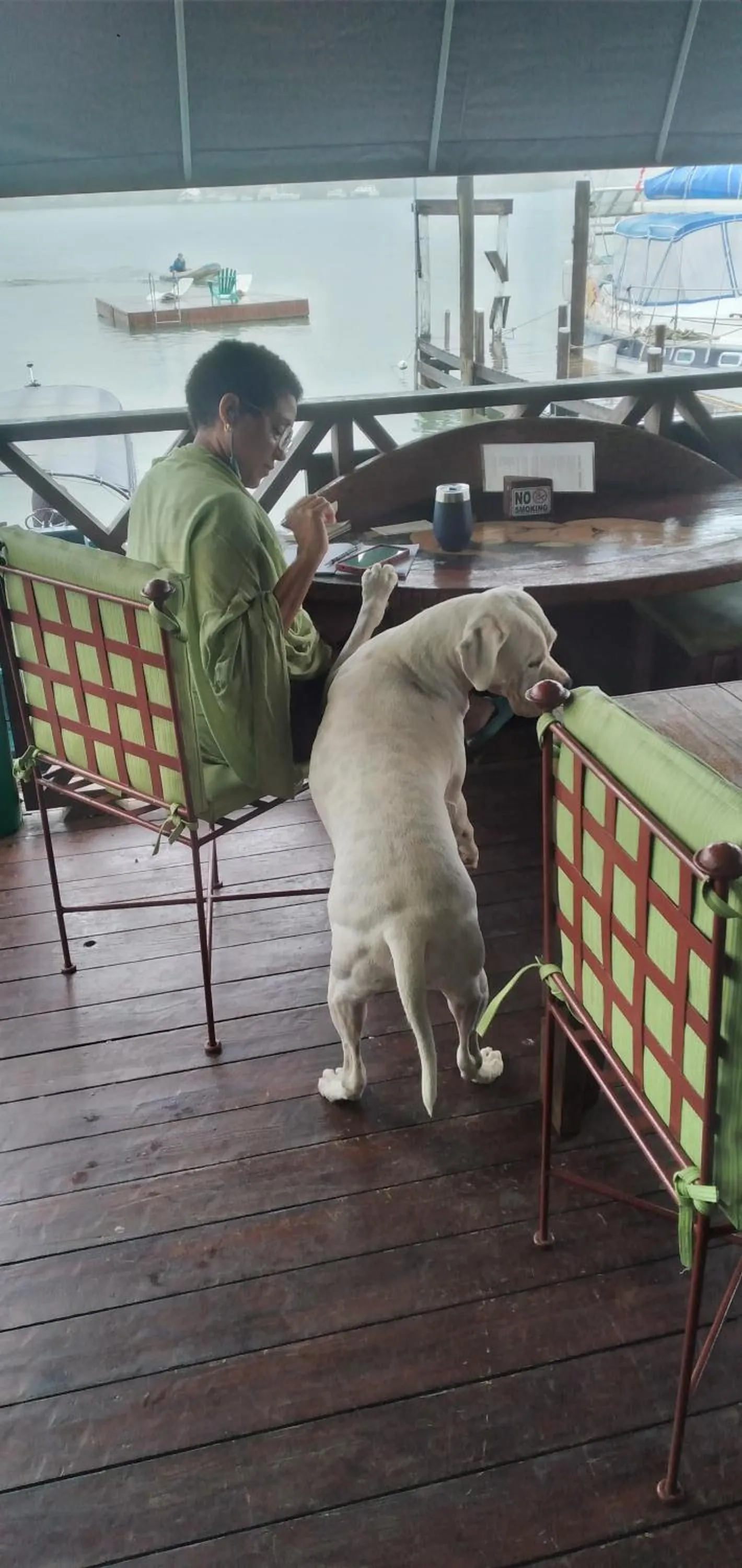 Property building in Tortugal Boutique River Lodge