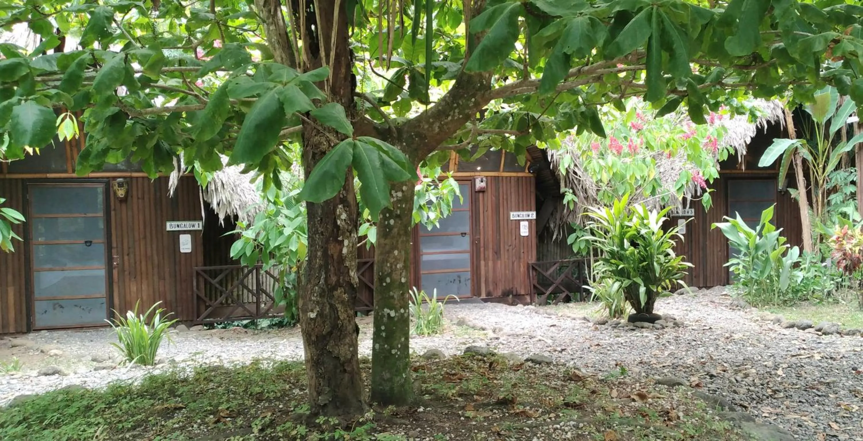 Property building in Tortugal Boutique River Lodge