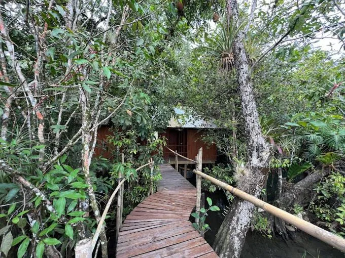 Spring in Tortugal Boutique River Lodge