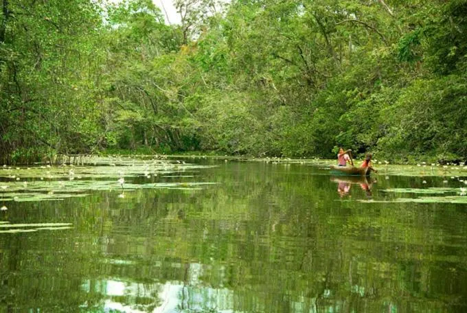 Spring in Tortugal Boutique River Lodge