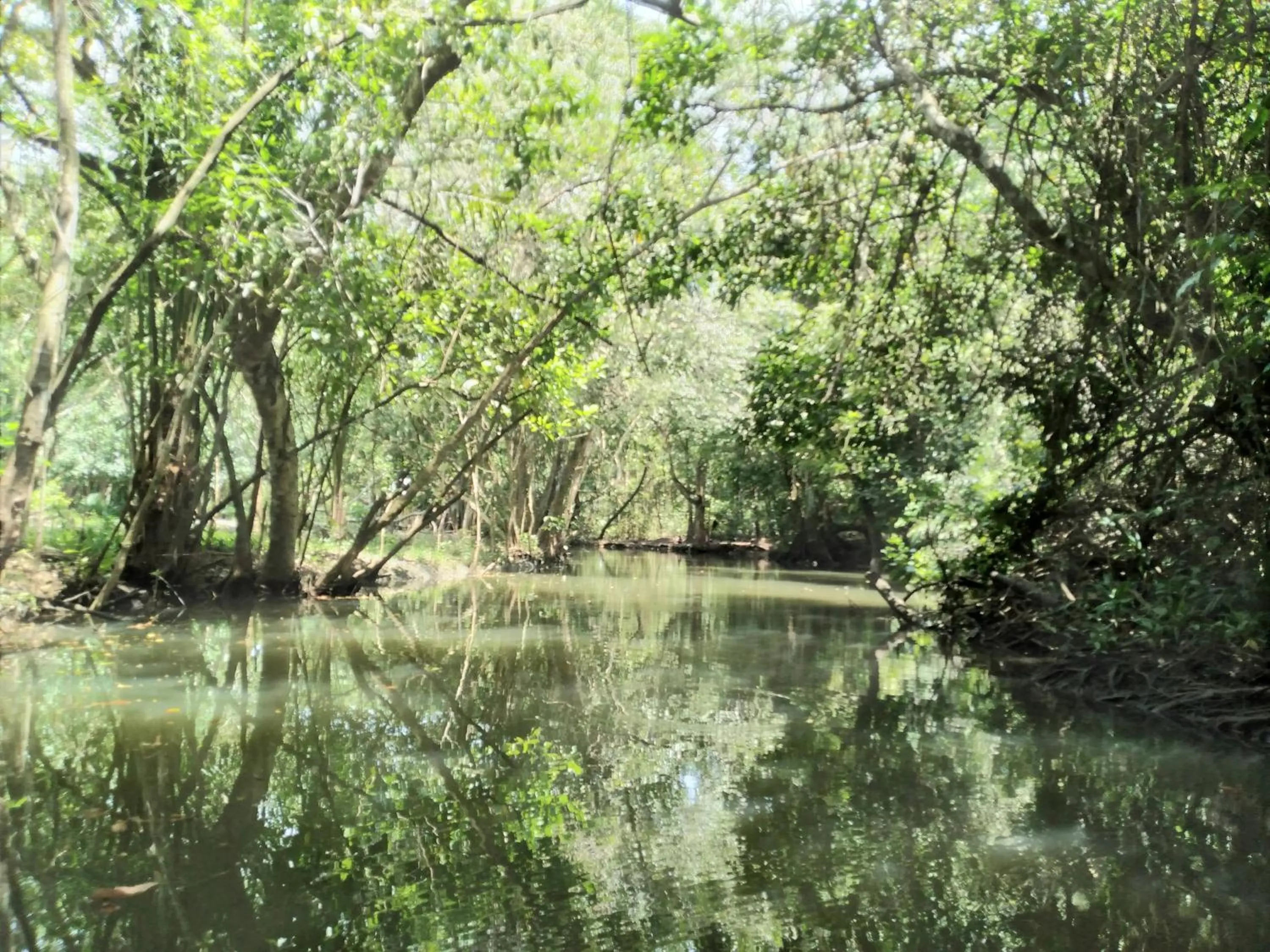 Spring in Tortugal Boutique River Lodge